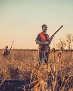 Two individuals are walking through a field of tall, dry grass under a clear sky. They are dressed in outdoor gear, including bright orange vests, and carrying shotguns. The field stretches out under the warm light of late afternoon or early evening, with bare trees visible in the distance.