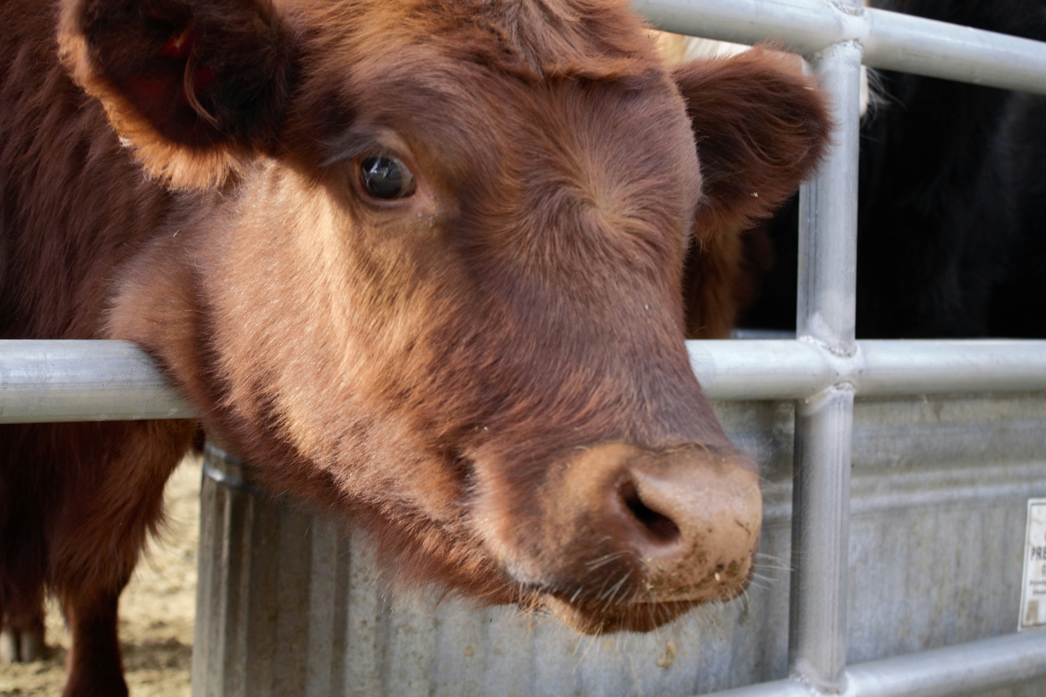 Free Unsplash photo from Ben Leighton