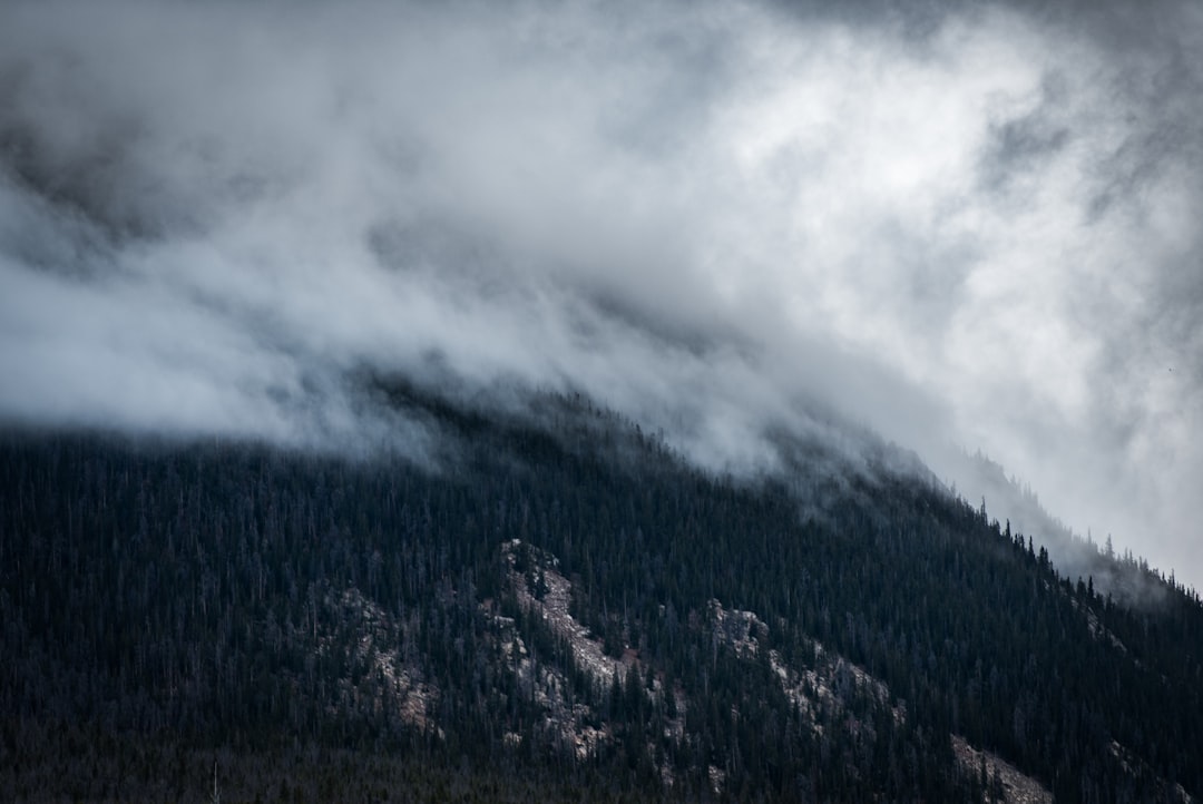 landscape photography of smoky mountain
