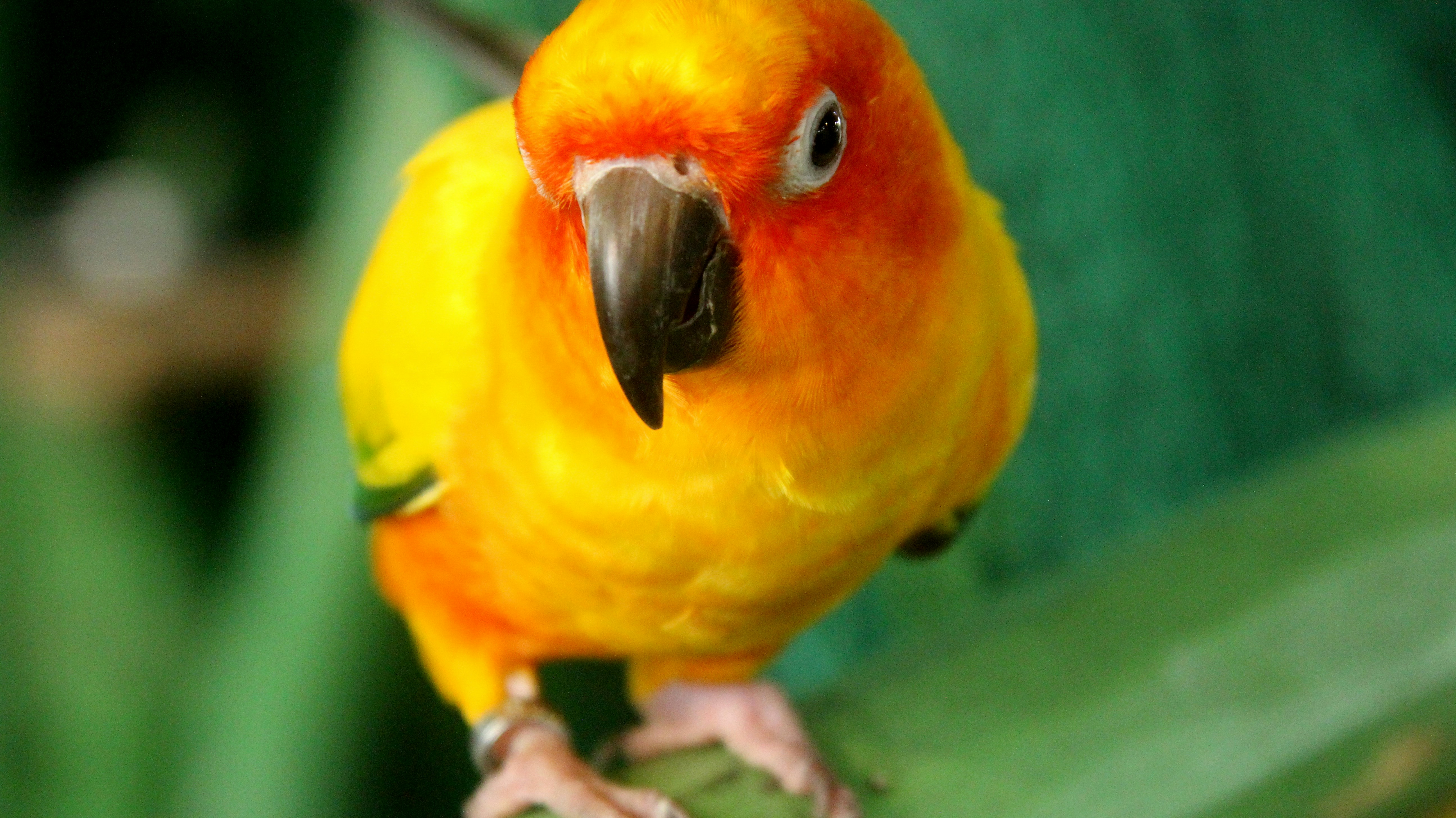 Free Unsplash photo from Kervin Edward Lara