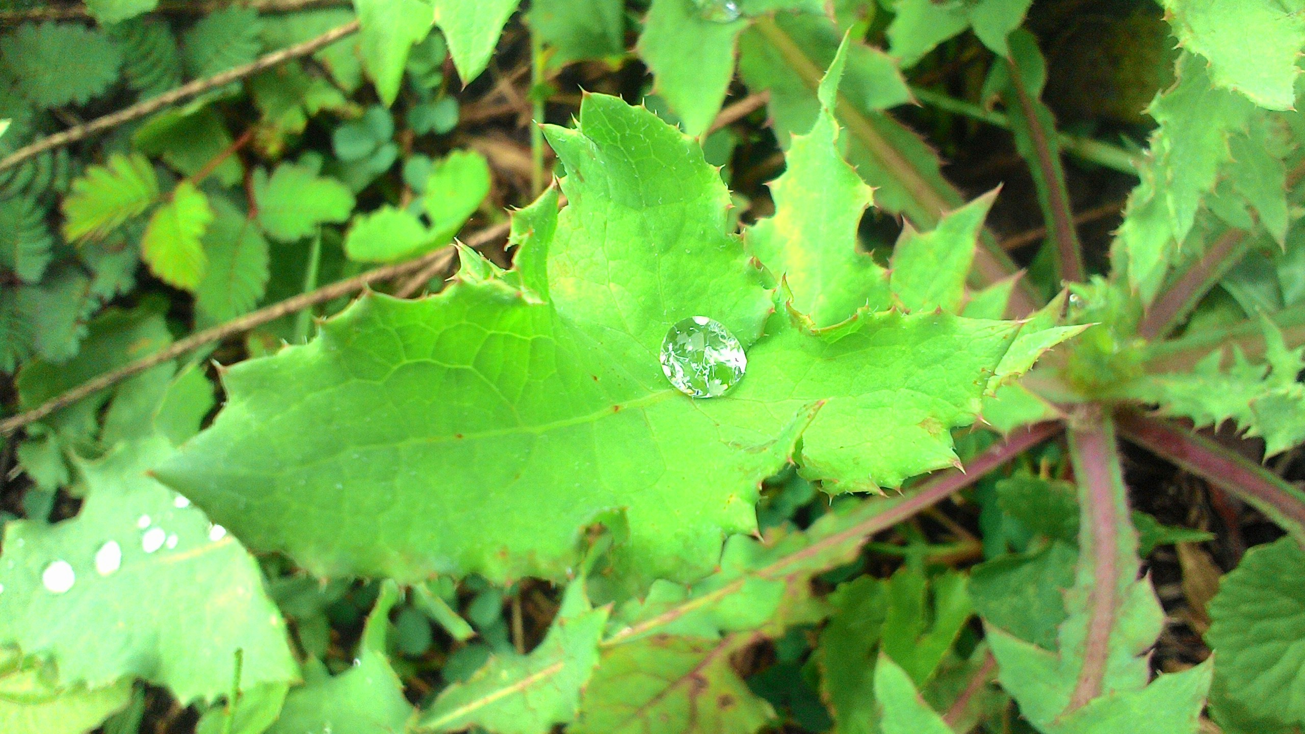 Free Unsplash photo from Junior Manuhutu