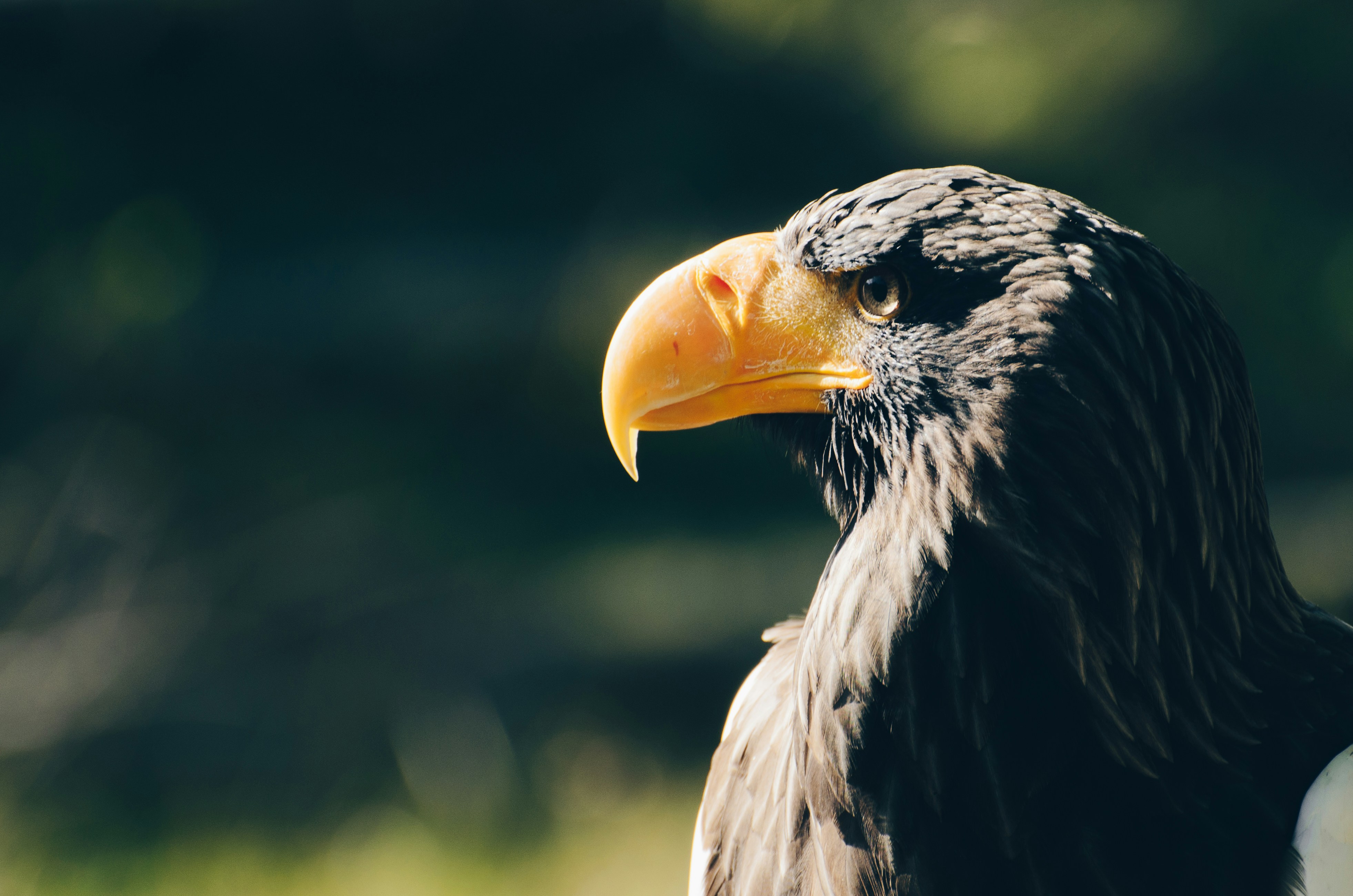 Free Unsplash photo from Quentin Dr