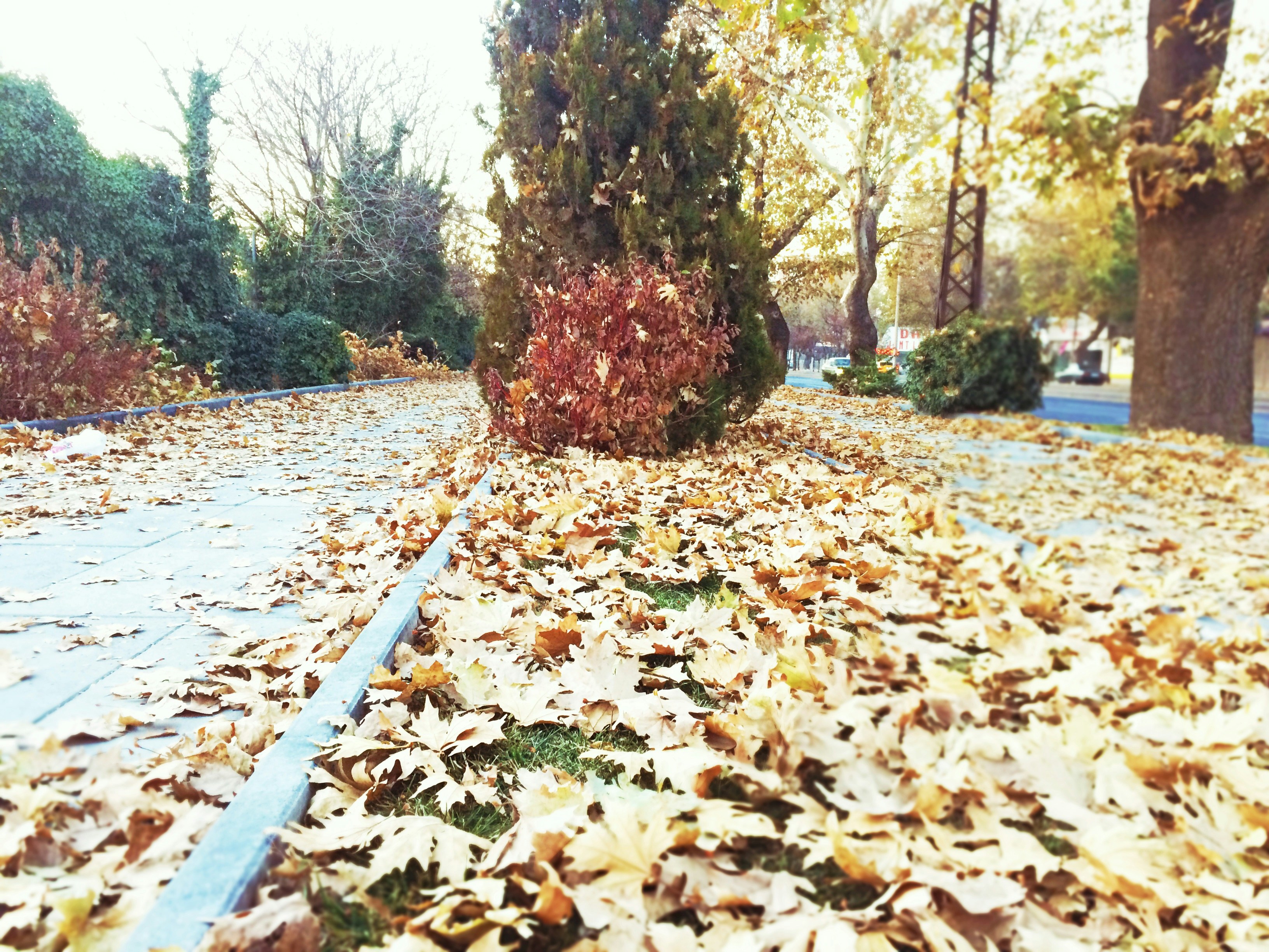 Free Unsplash photo from Yusuf Ortaç