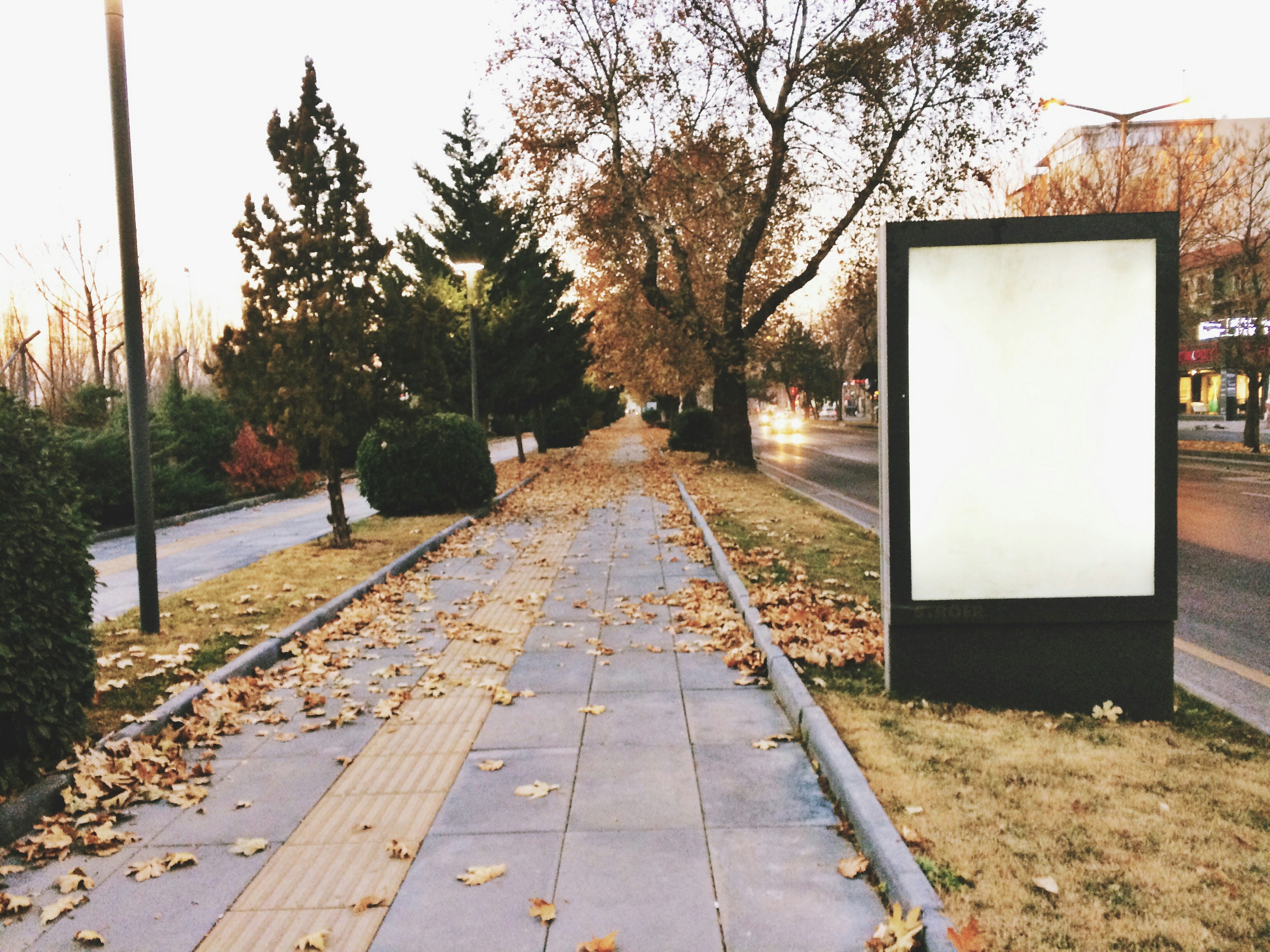 Free Unsplash photo from Yusuf Ortaç