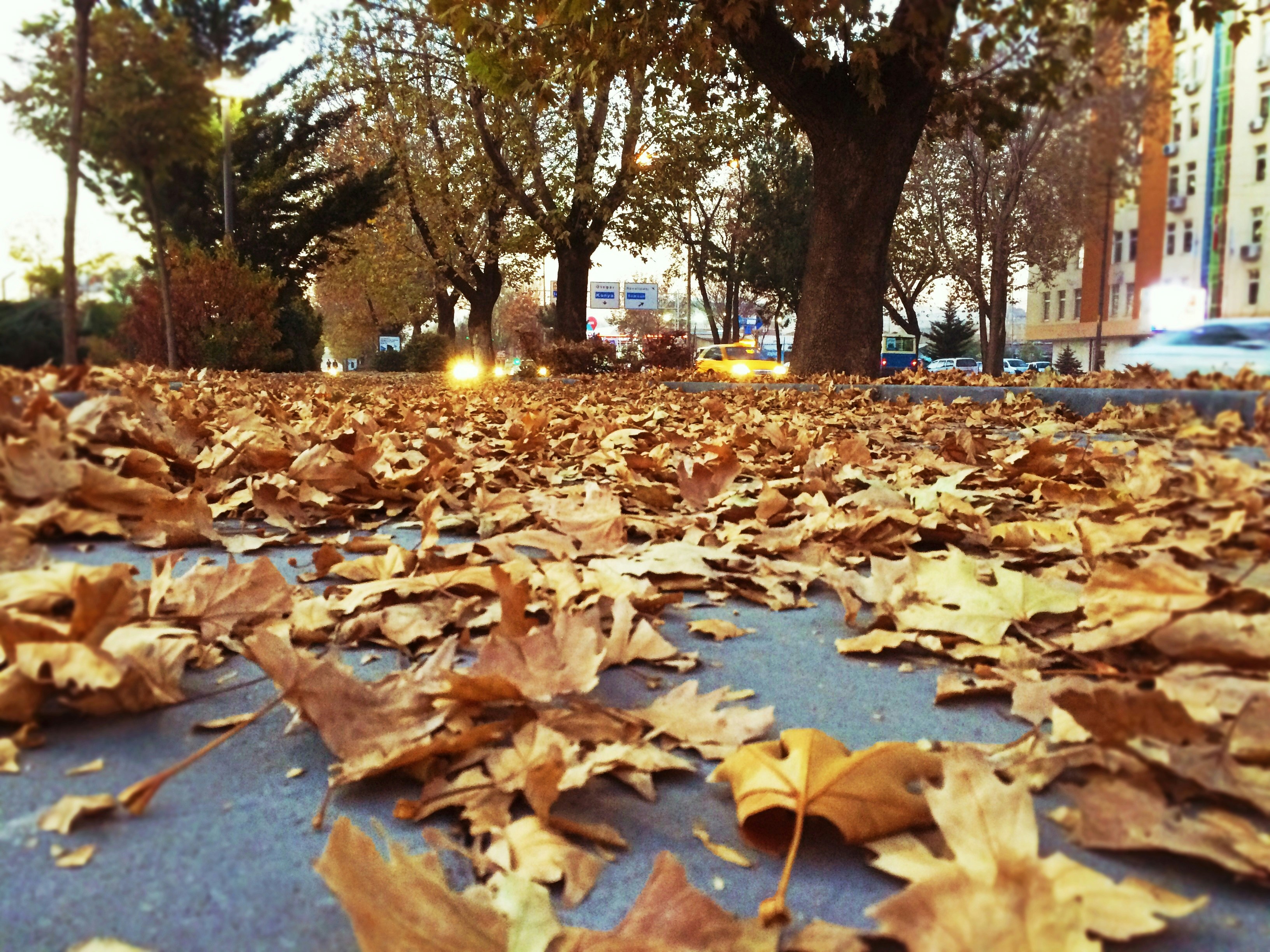 Free Unsplash photo from Yusuf Ortaç