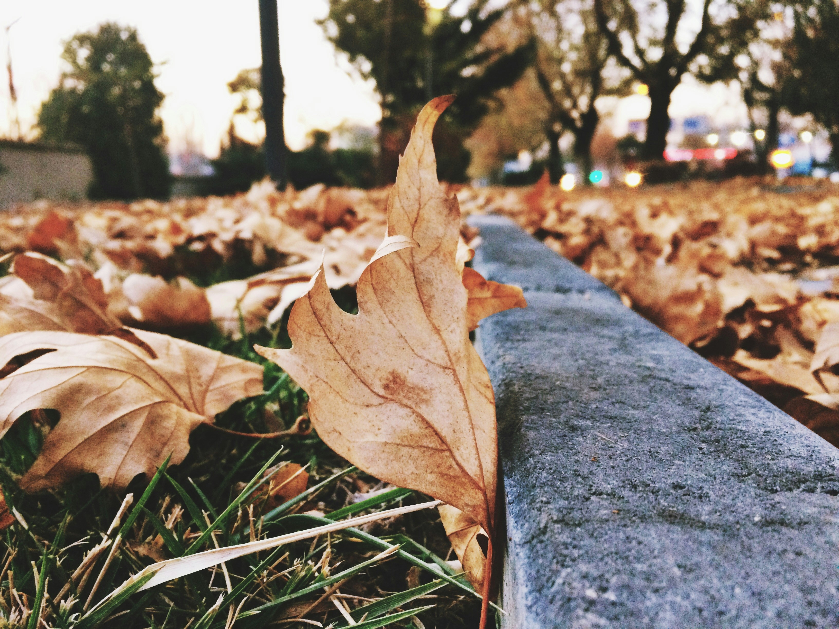 Free Unsplash photo from Yusuf Ortaç