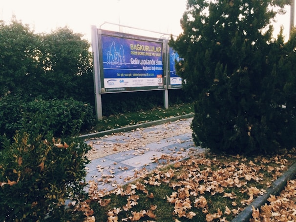 A public advertisement board is situated in an outdoor setting with a walking path covered in fallen leaves. The area is surrounded by lush green bushes and trees.