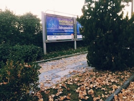 A public advertisement board is situated in an outdoor setting with a walking path covered in fallen leaves. The area is surrounded by lush green bushes and trees.