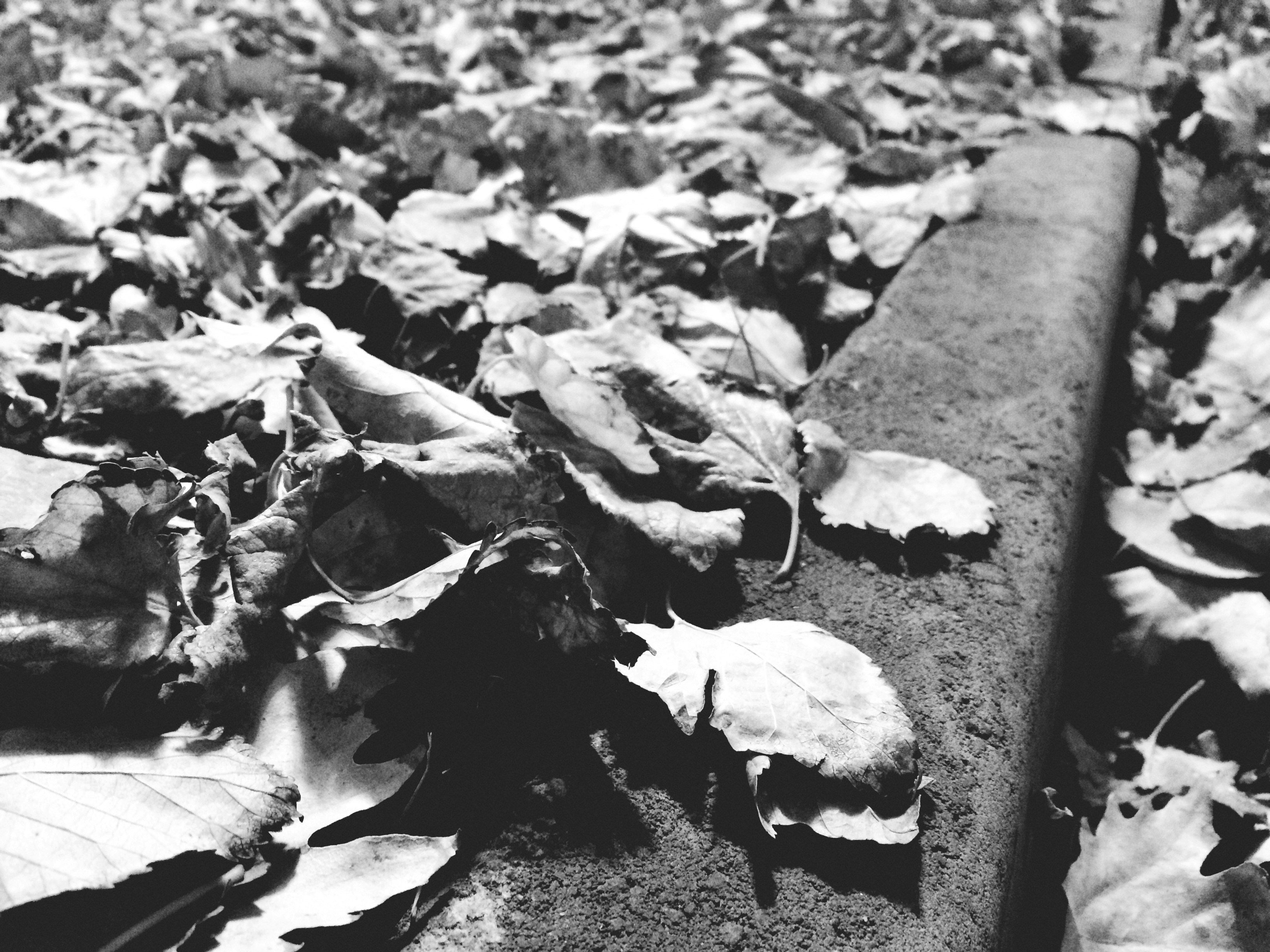 Free Unsplash photo from Yusuf Ortaç