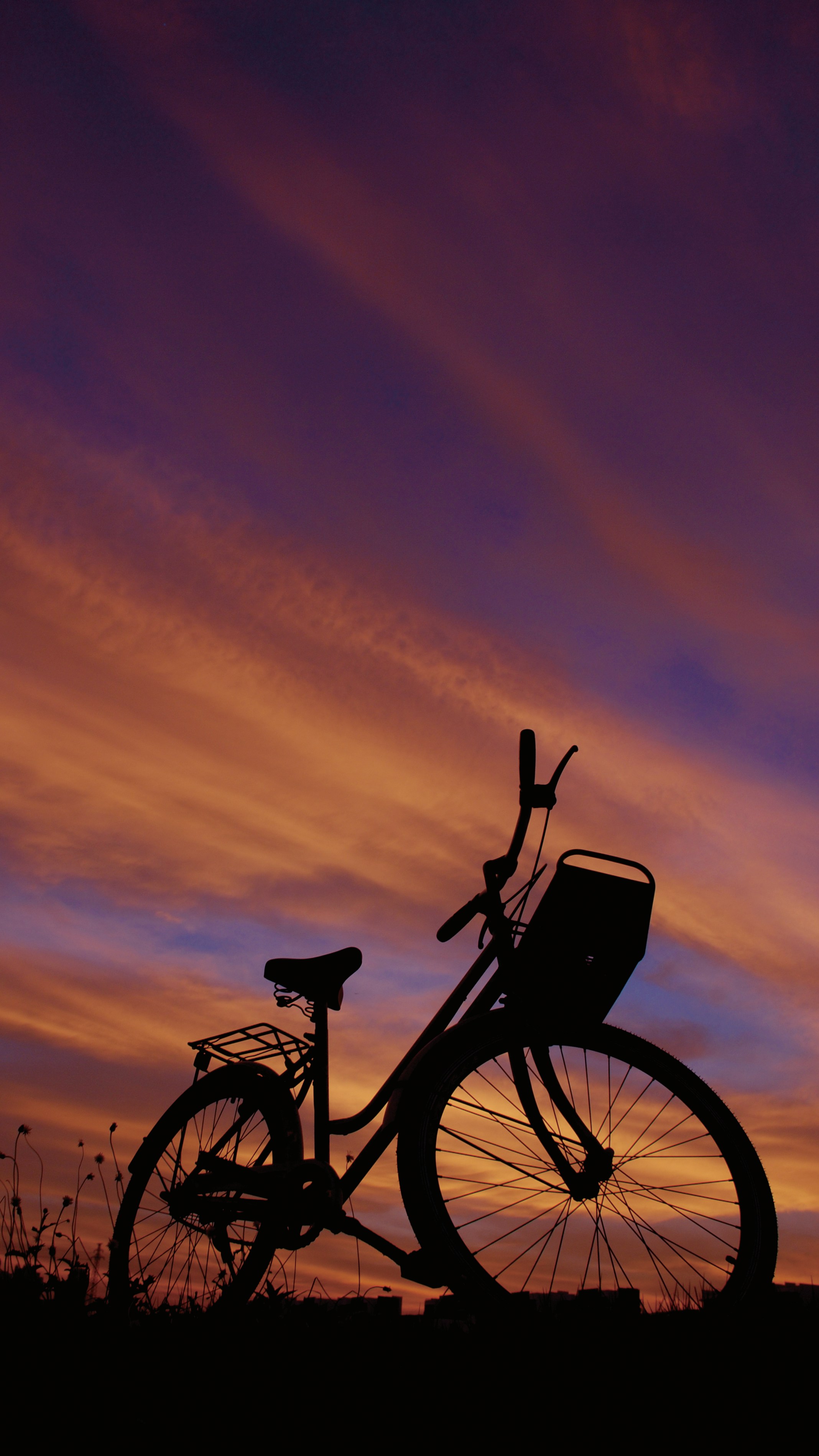 Free Unsplash photo from Francis Cheung