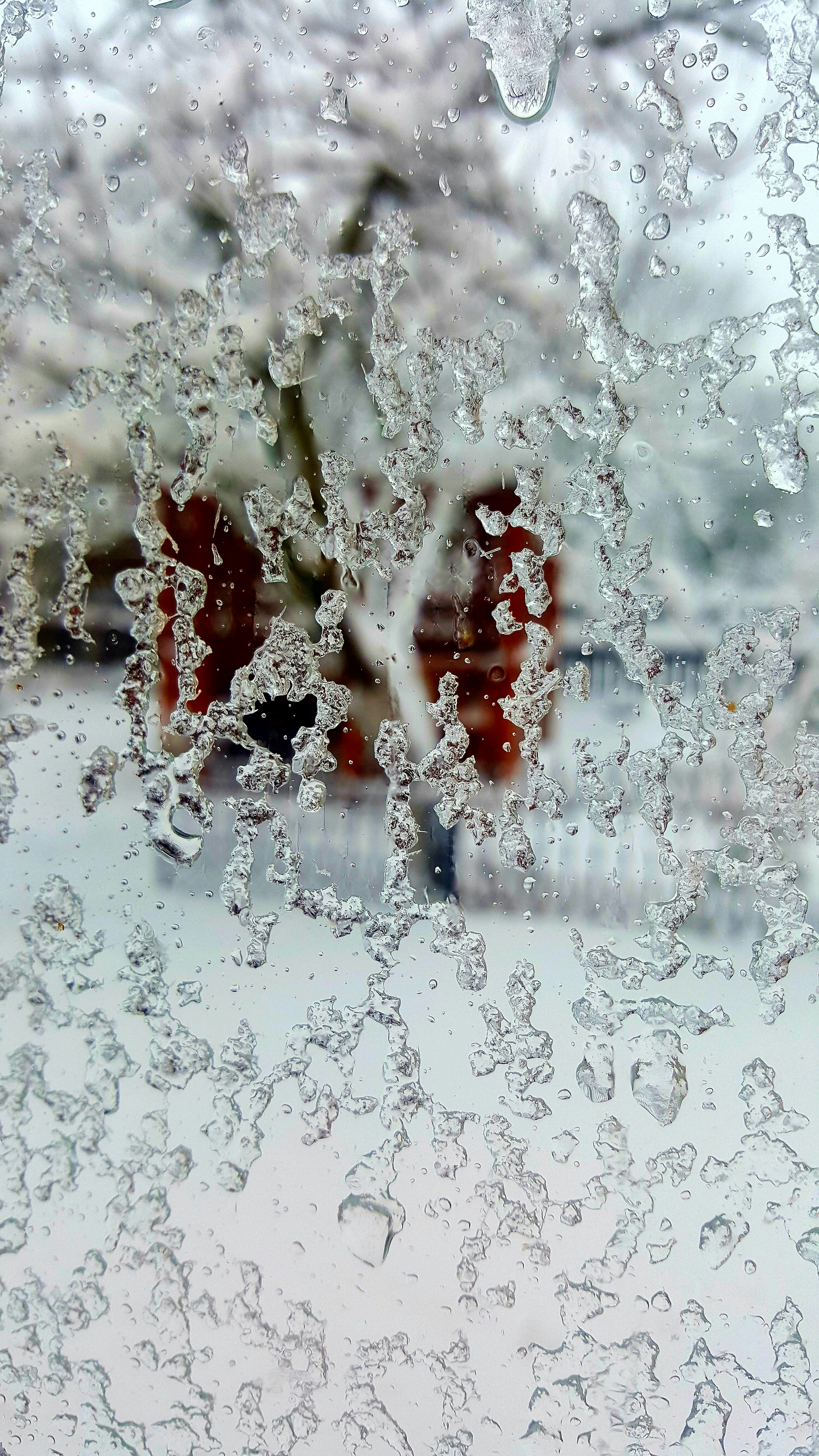 Free Unsplash photo from Oleksandr Shapovalov