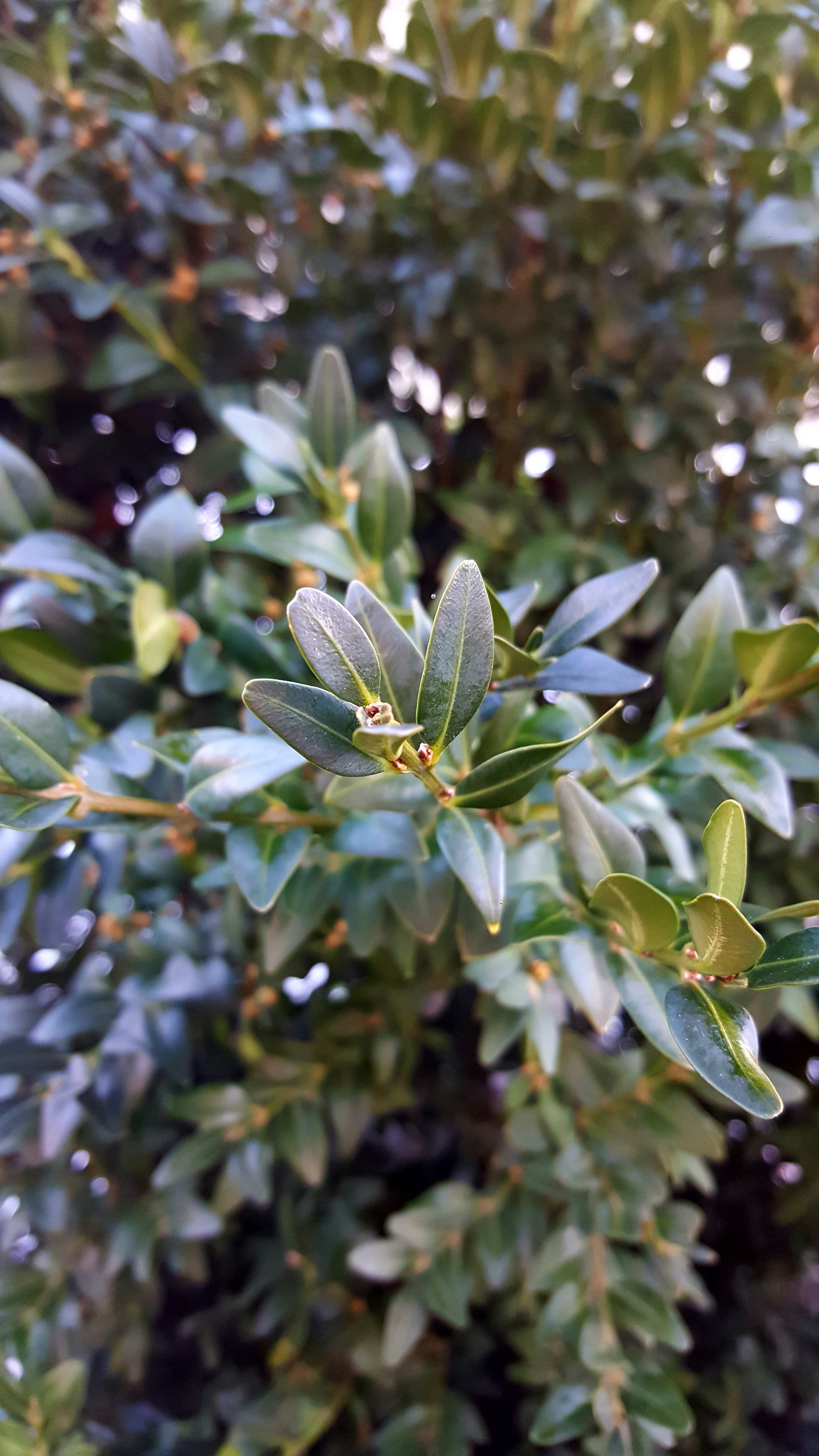 Free Unsplash photo from Oleksandr Shapovalov