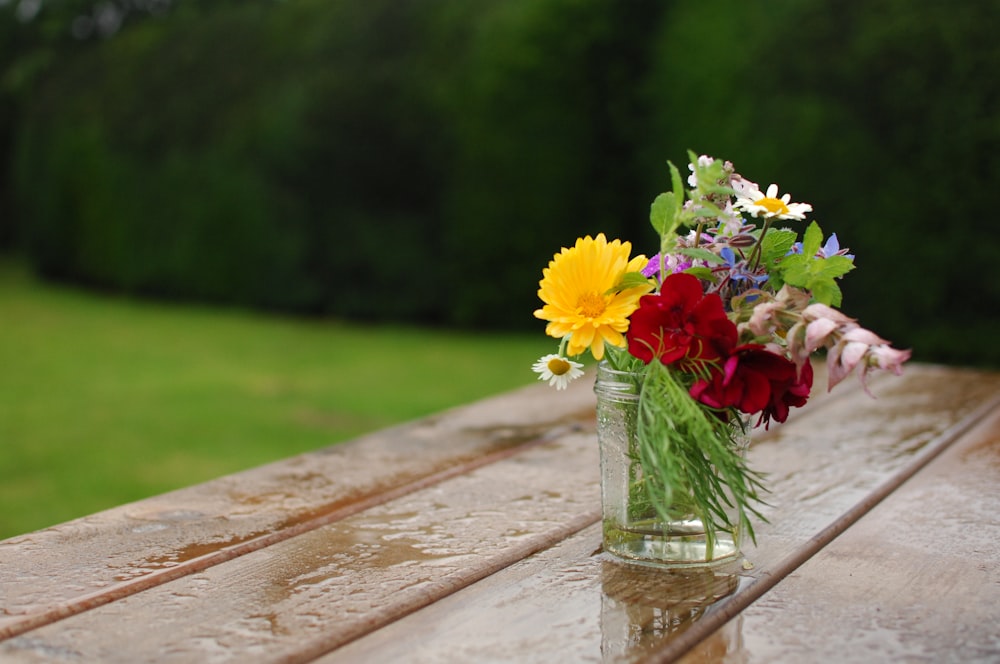 yellow and red petaled flowers in glass vase