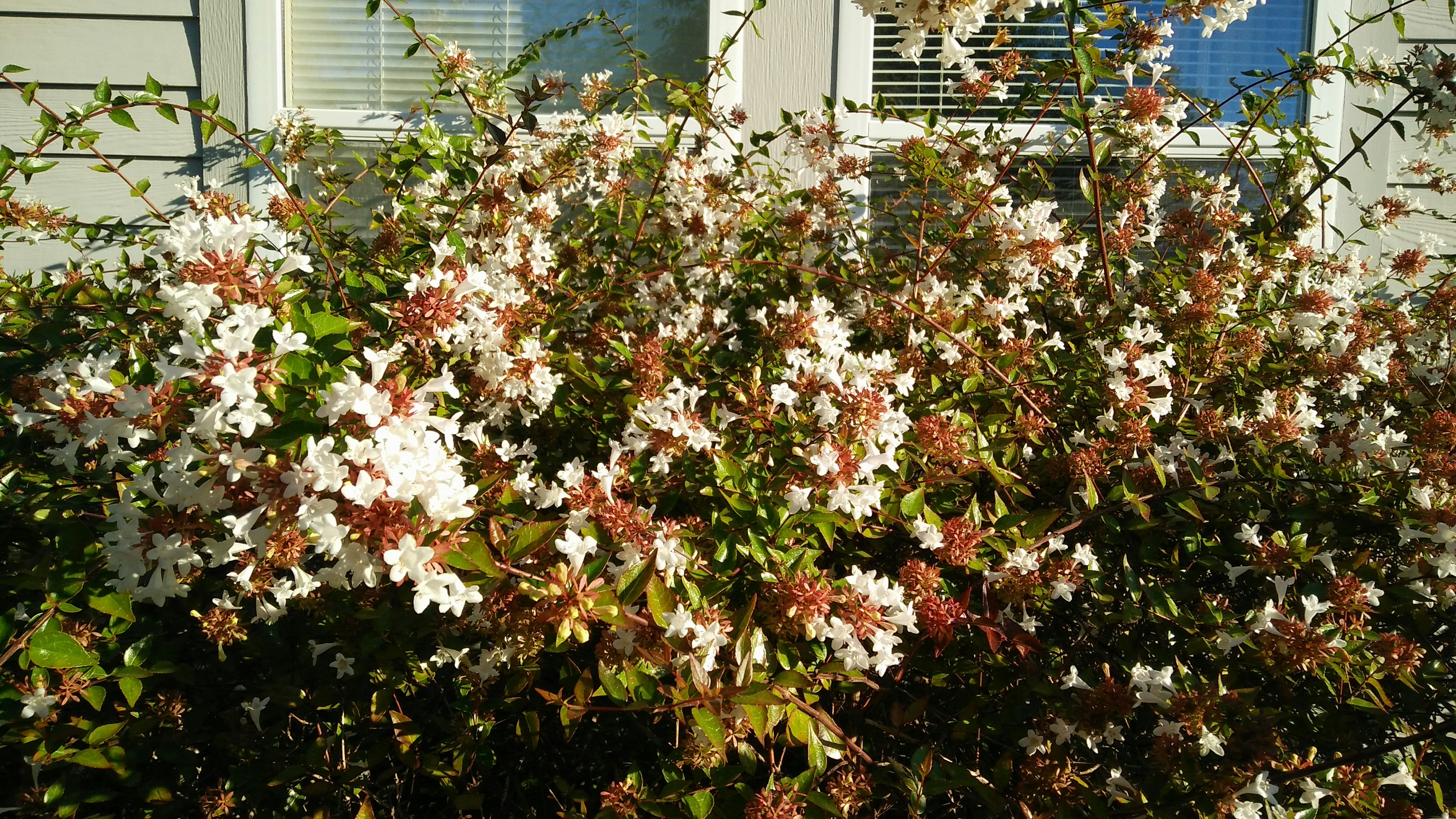 Free Unsplash photo from Vandit Modi