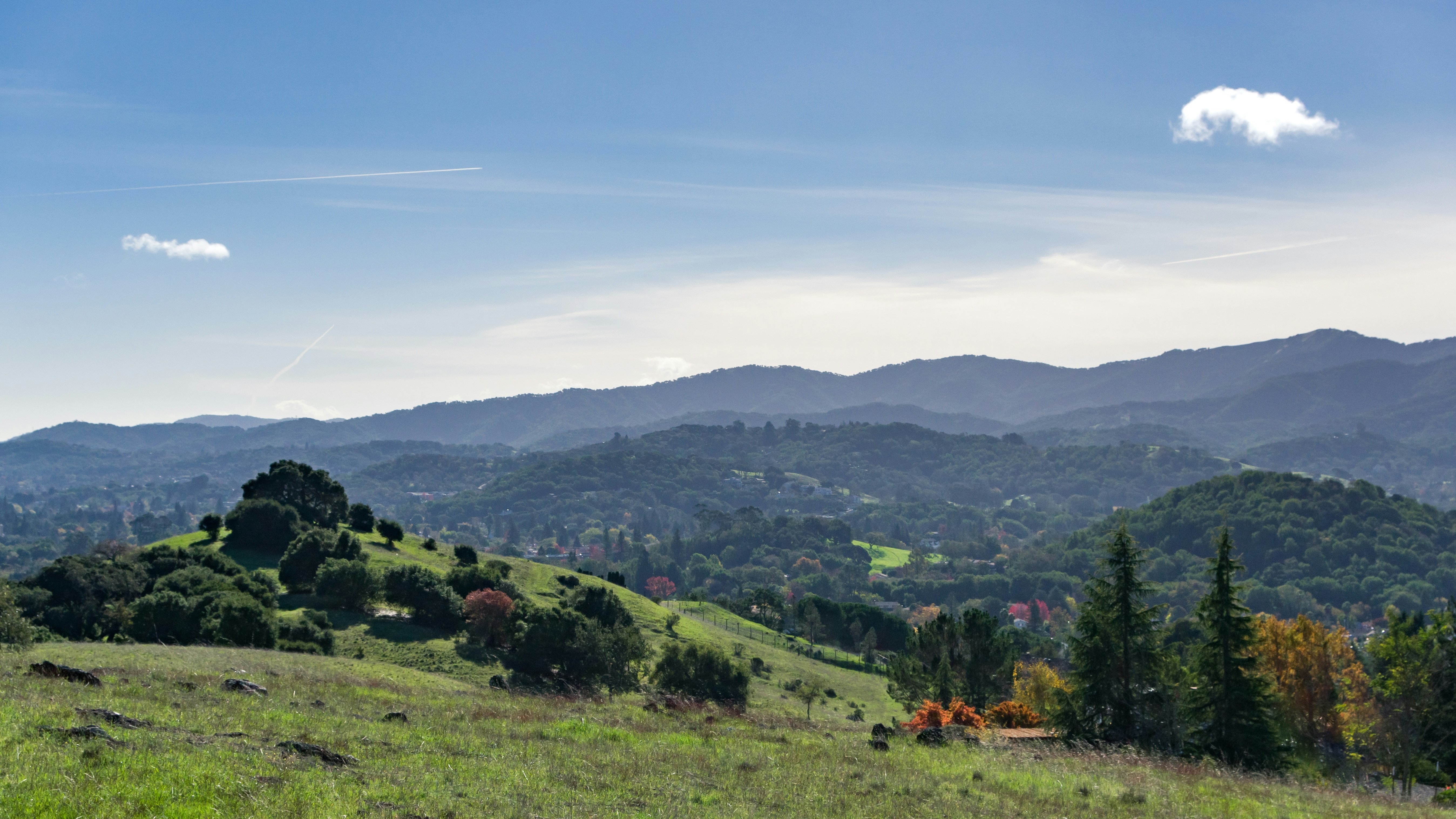 Free Unsplash photo from Matt McLean