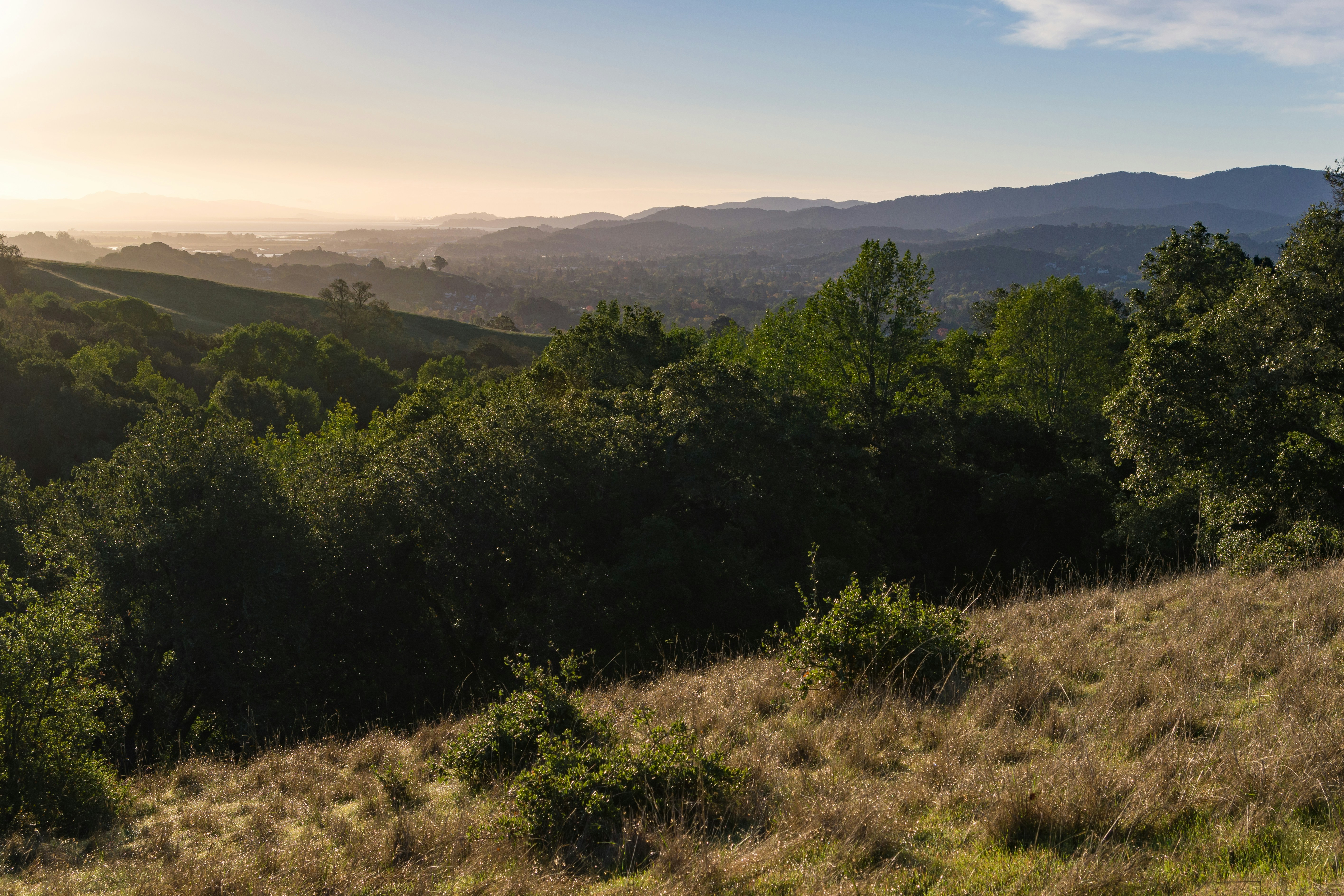 Free Unsplash photo from Matt McLean