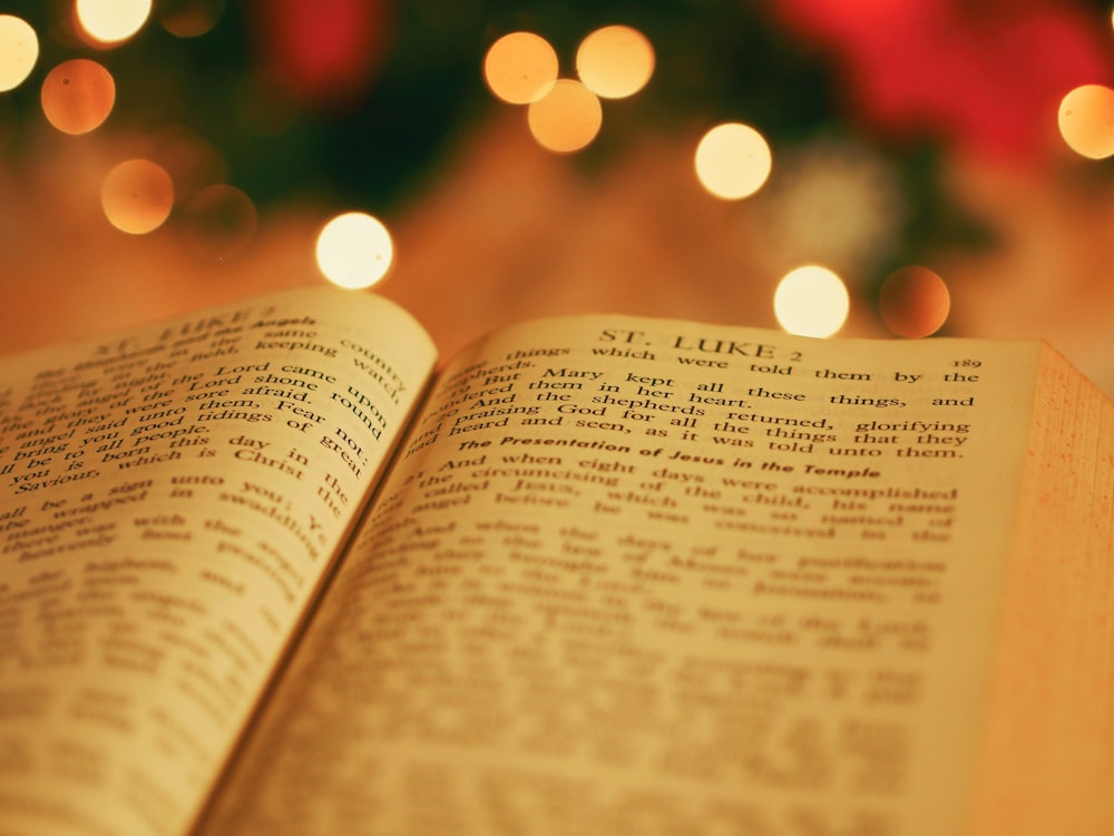 opened bible with bokeh light background