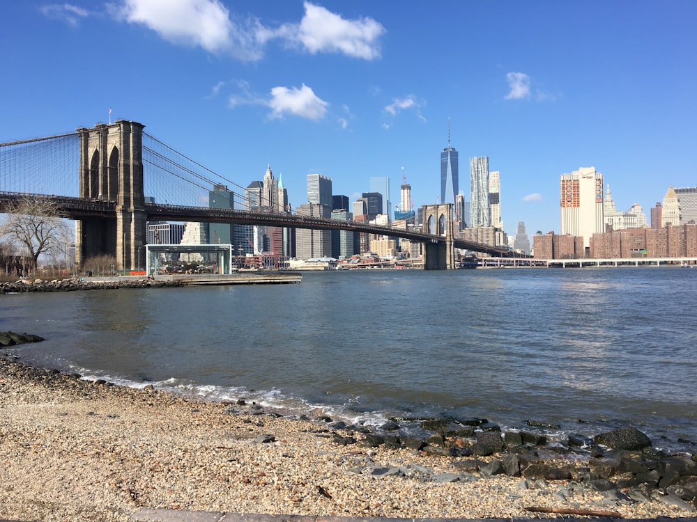 Ponte di Brooklyn, New York