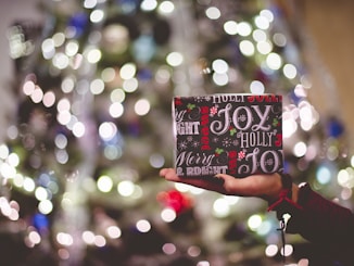 selective focus photography of gift box on person's palm