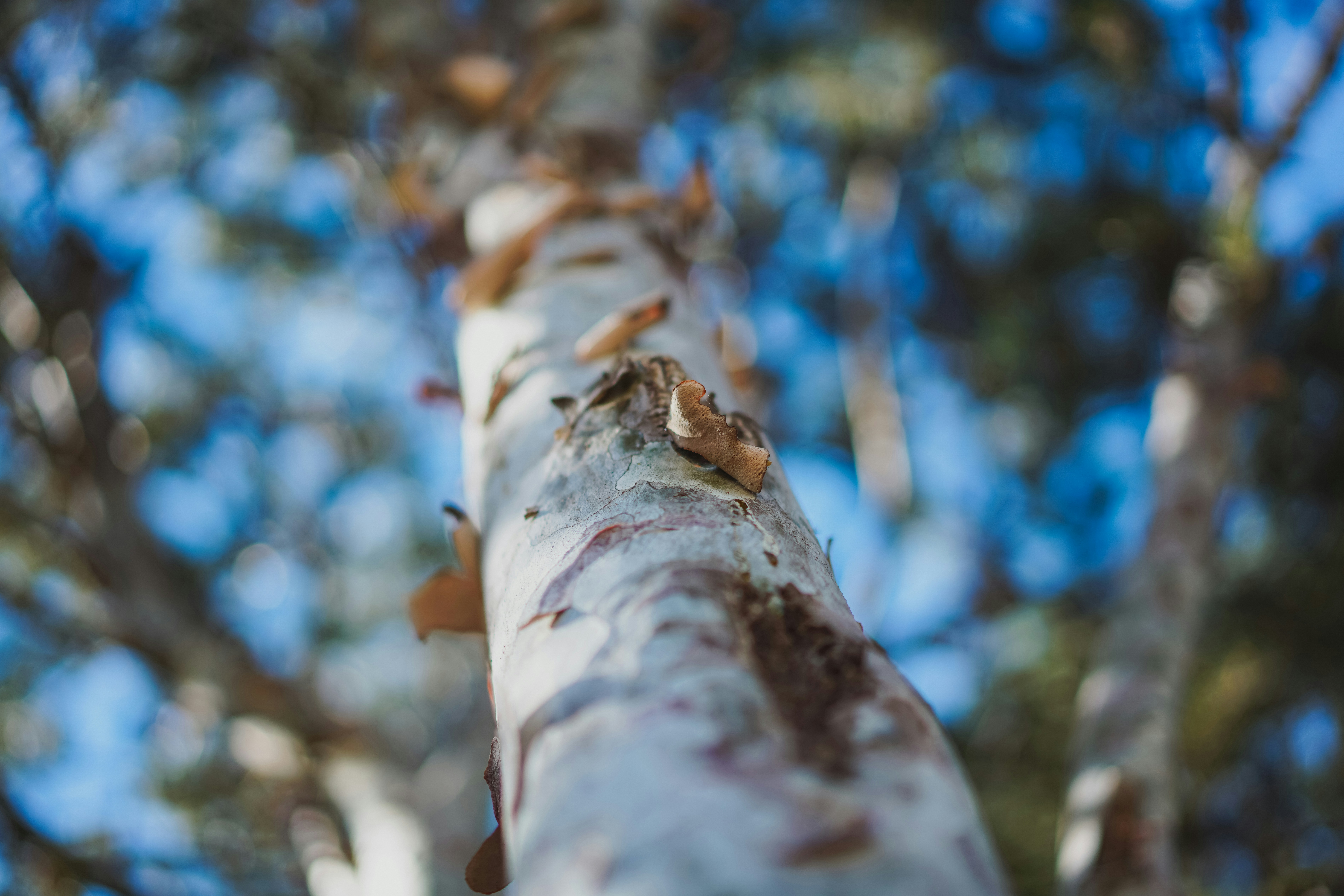 Free Unsplash photo from Yuanbin Du