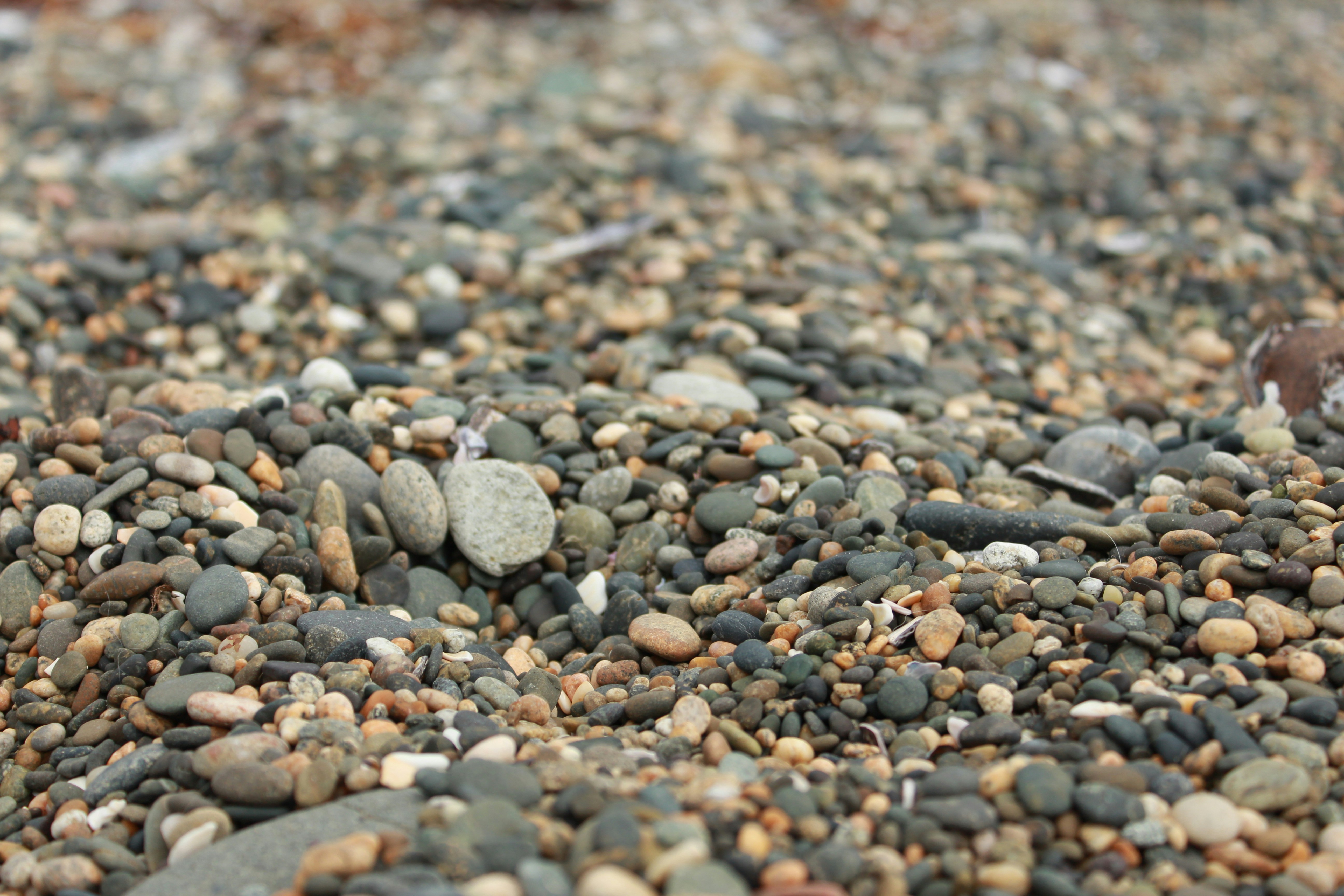 Free Unsplash photo from Hannah Tan