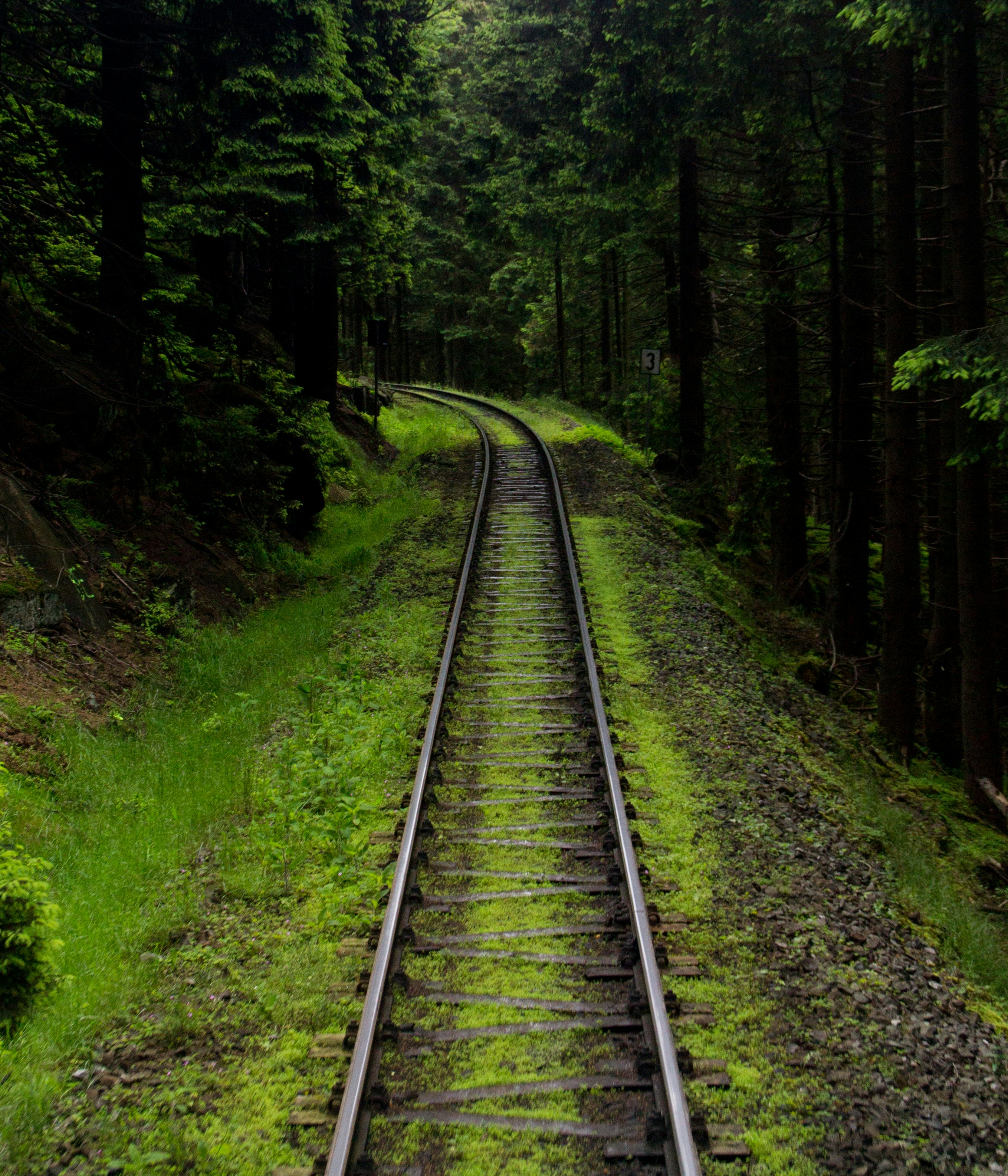 Free Unsplash photo from Mathijs Vos