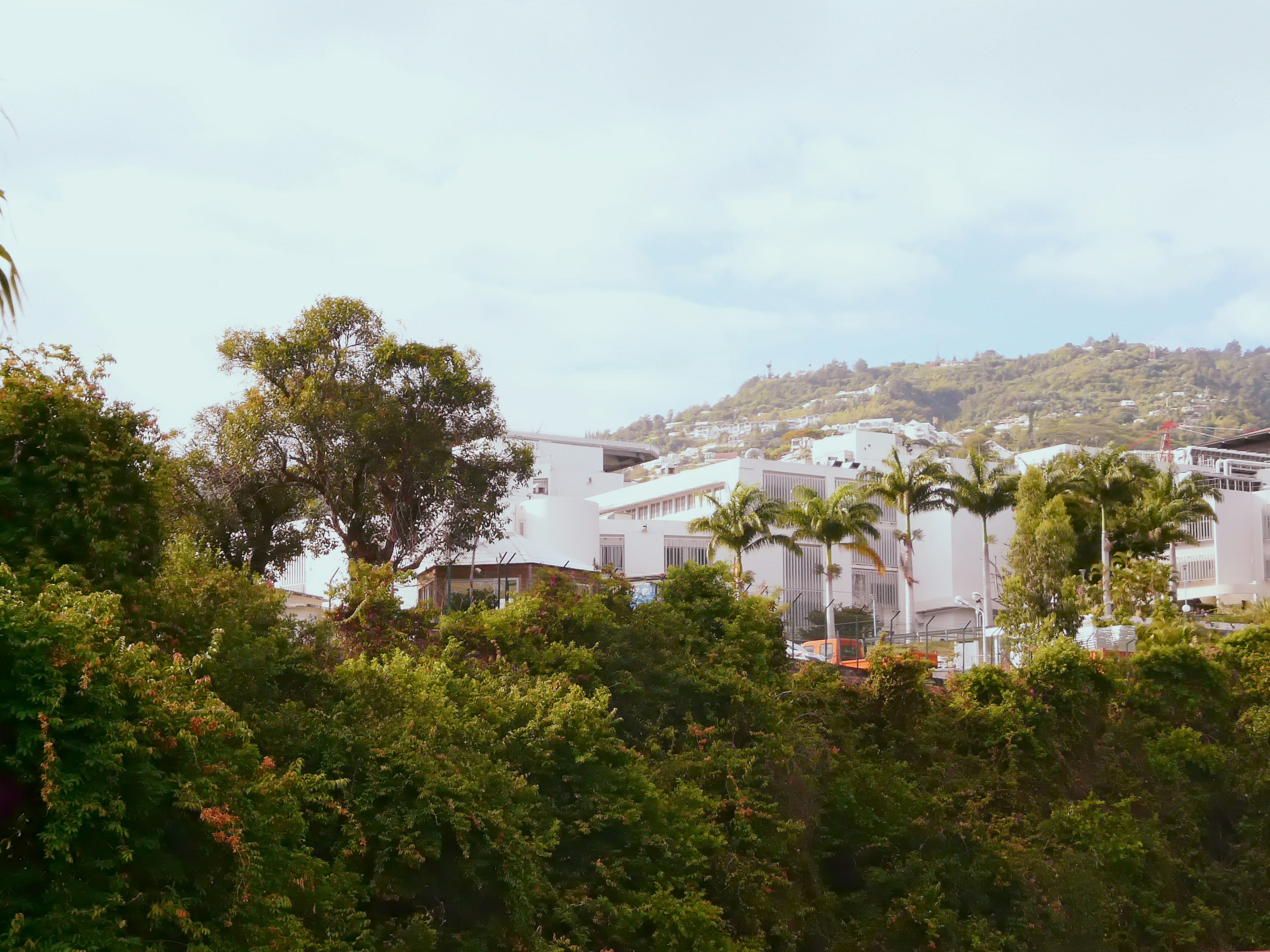 Free Unsplash photo from Robert Emmanuel