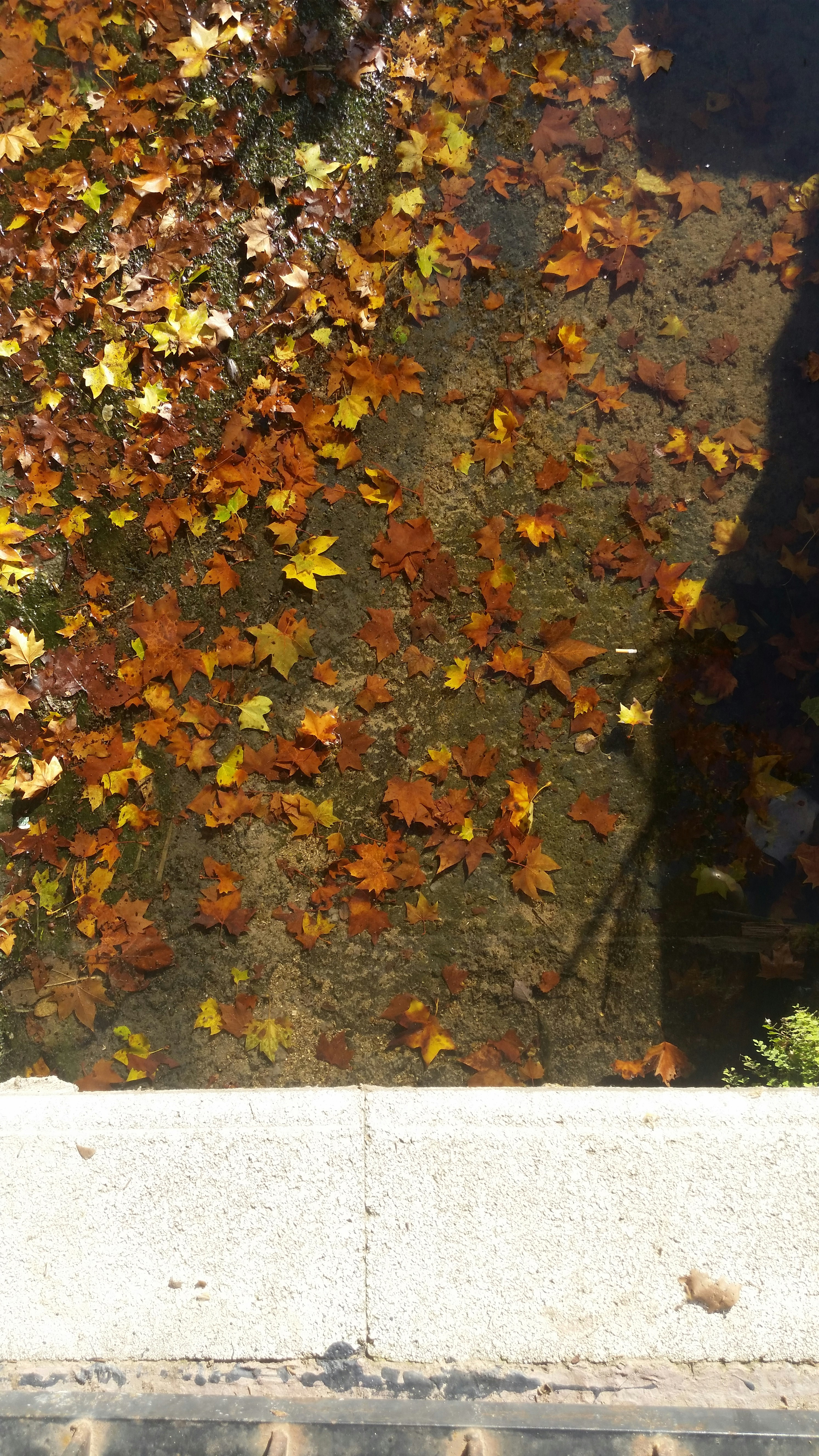 Free Unsplash photo from Jose Vilar