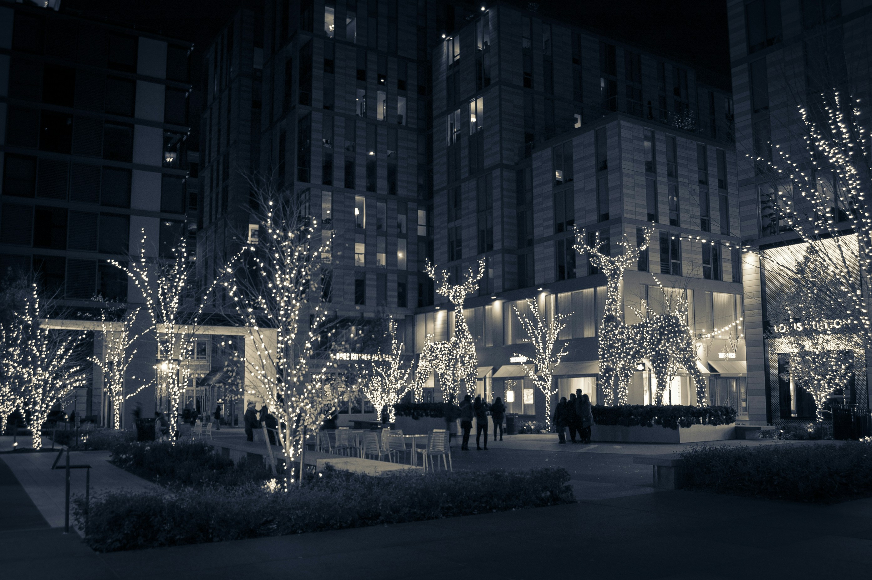 Experience the Magical Light Festivals in Dallas, Texas on December 10, 2025