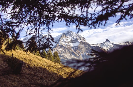 mountain range under clear blue sky in Adelboden Switzerland