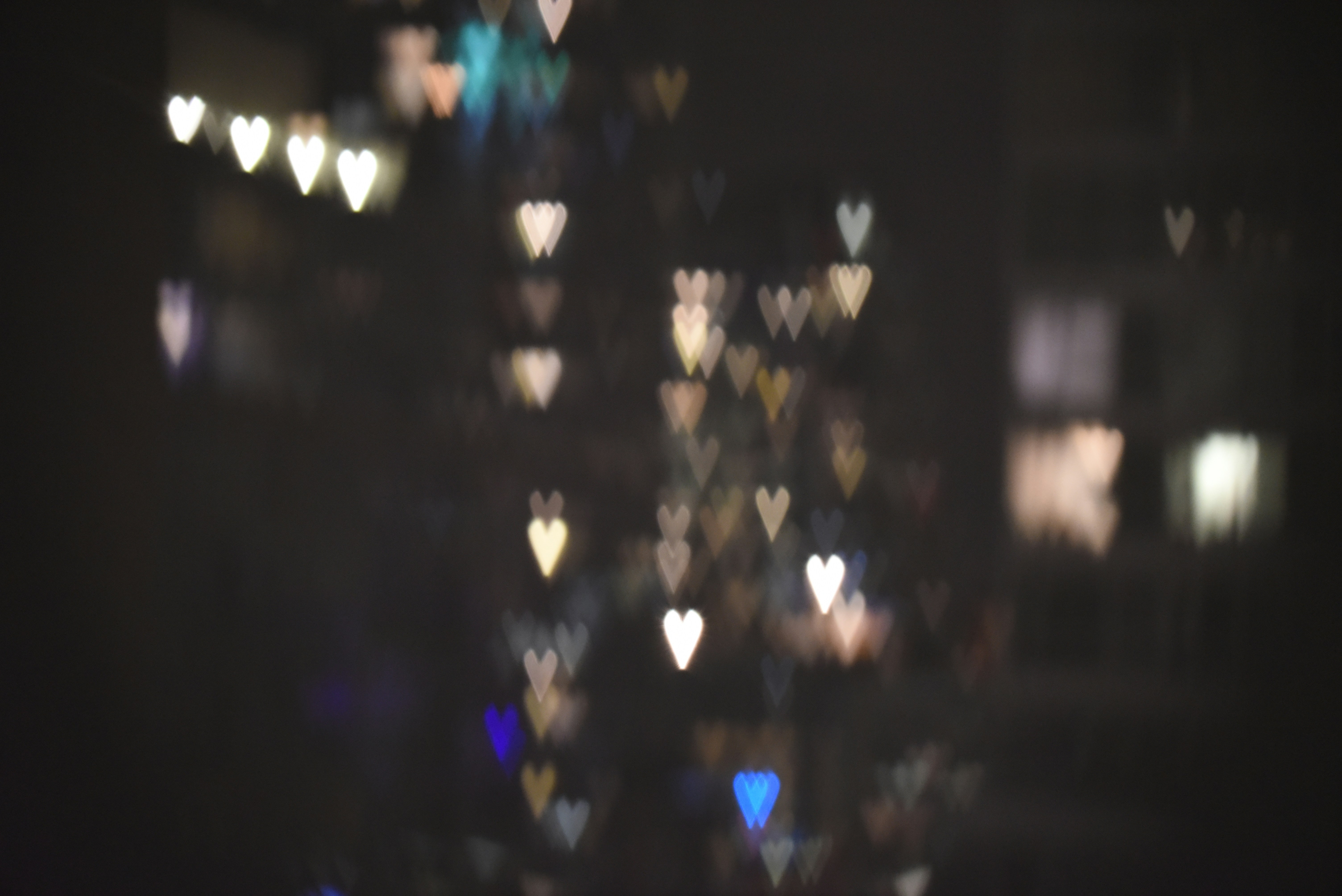 Free Unsplash photo from Leah Han