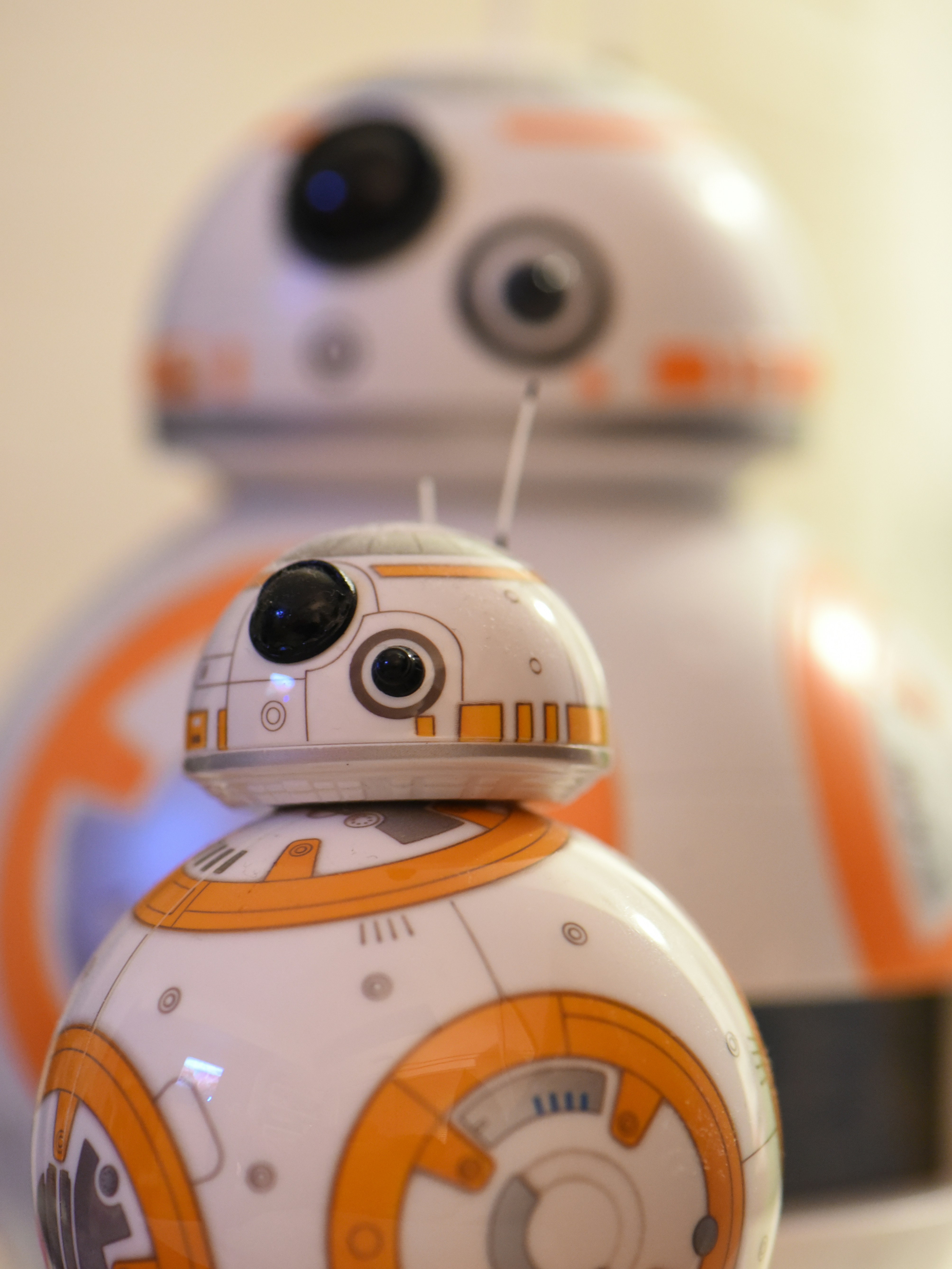 Free Unsplash photo from Leah Han