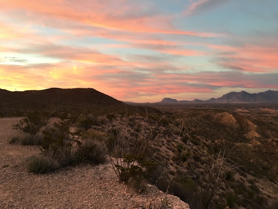 A rugged desert landscape with sparse vegetation under a dramatic sunset sky. The horizon shows mountains in the distance, and the sky is filled with vibrant pink and orange clouds. The foreground features rocky terrain with scattered shrubs and grasses.