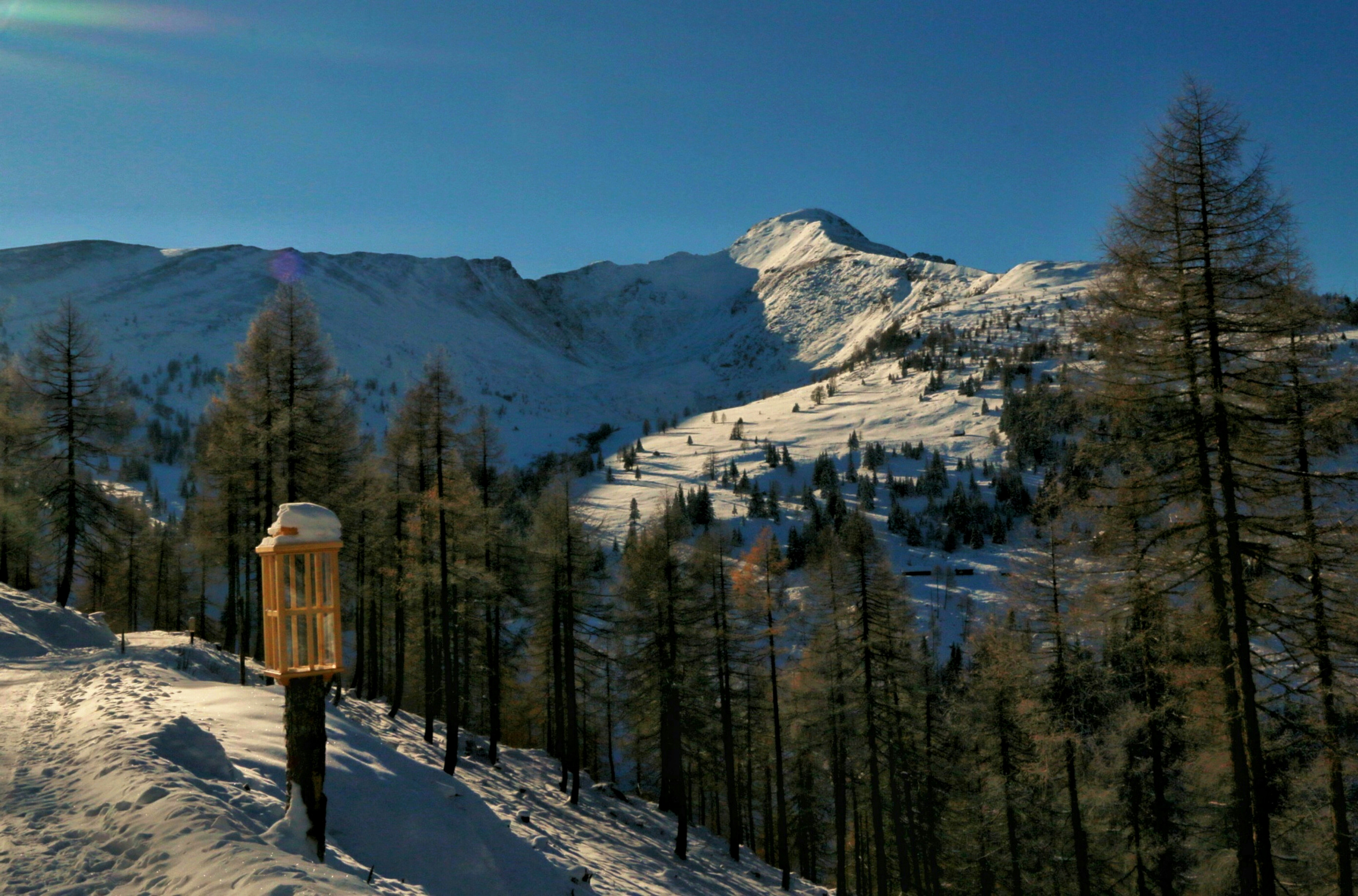 Free Unsplash photo from Melody Ann Ferrer