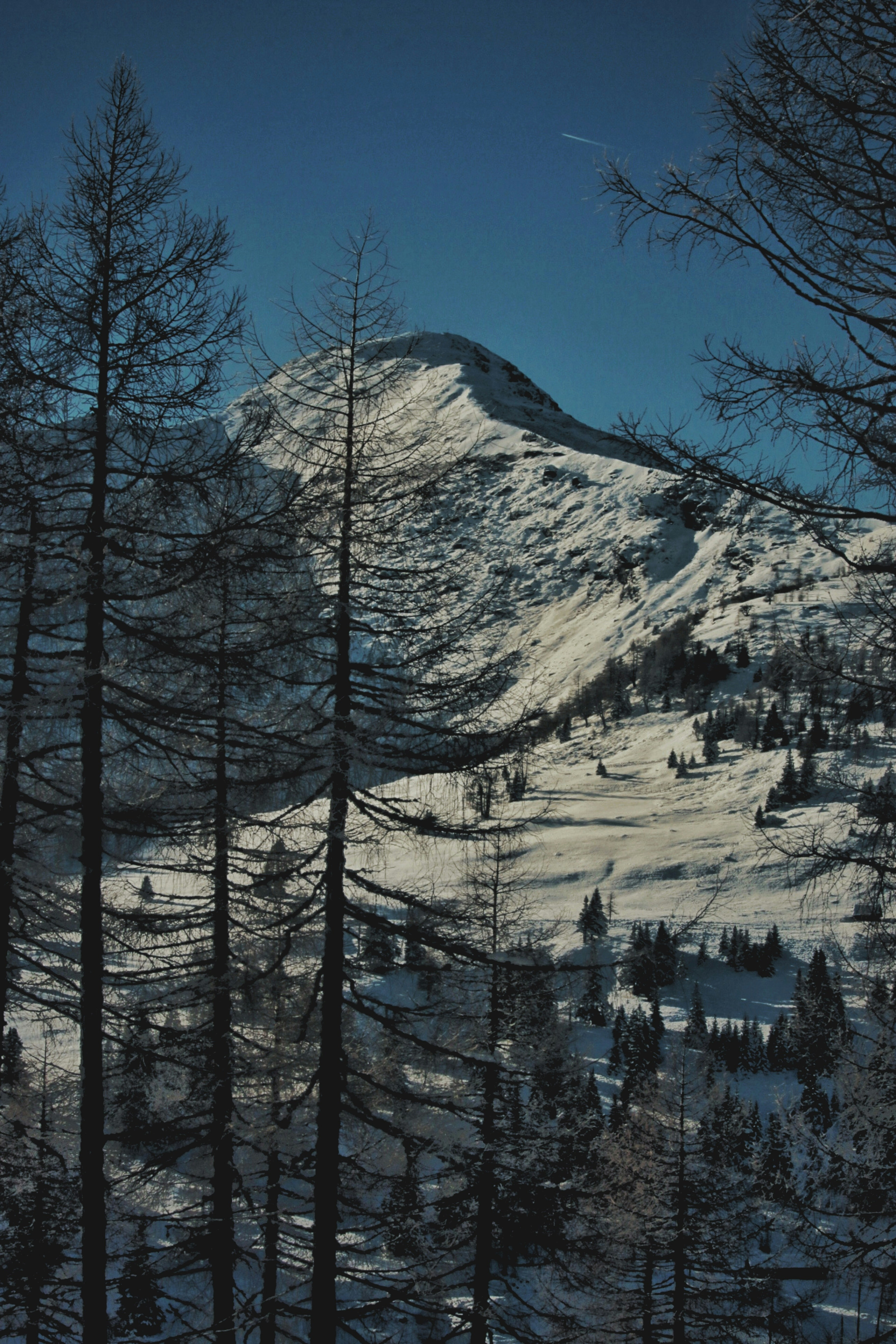 Free Unsplash photo from Melody Ann Ferrer