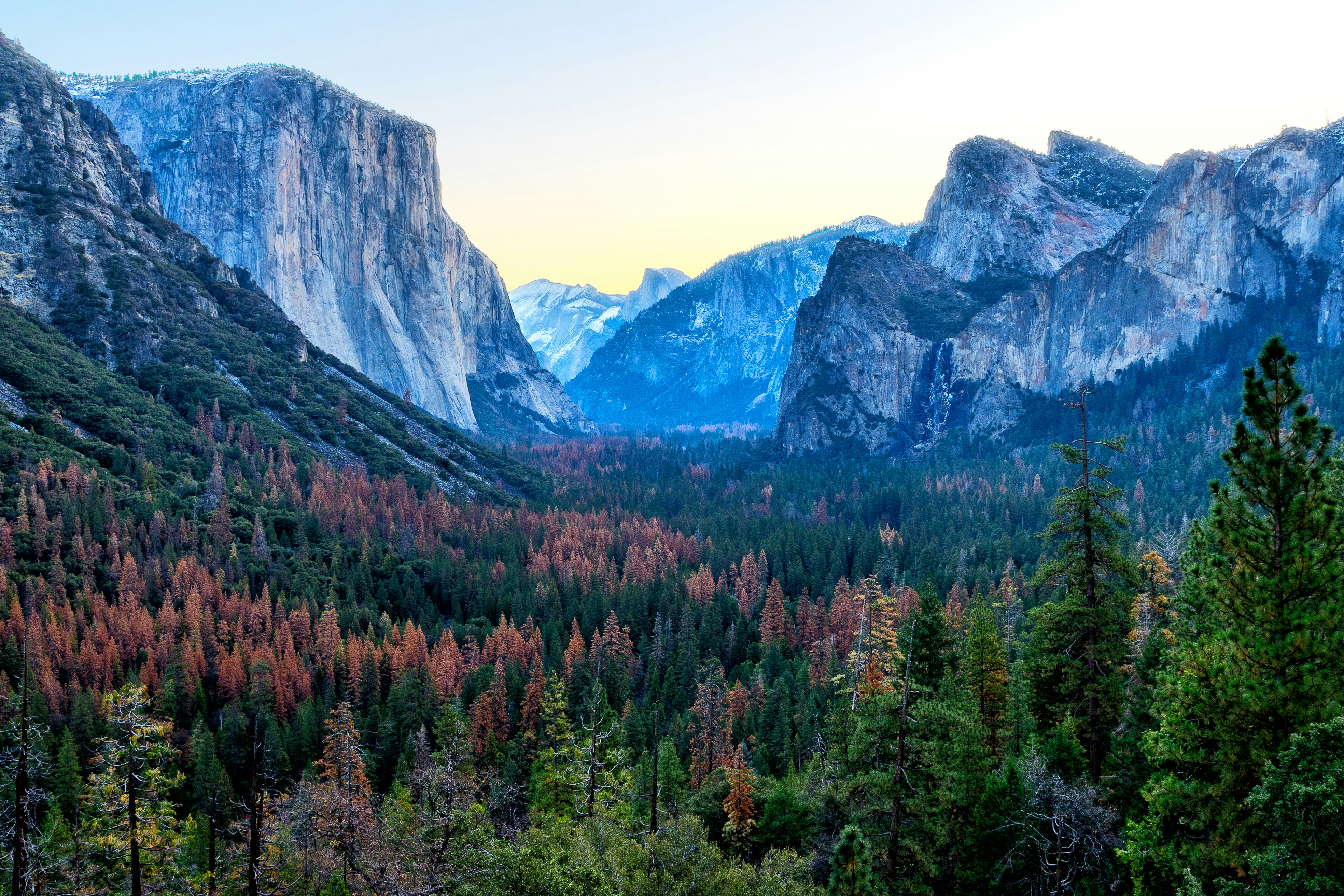 Free Unsplash photo from Pono Lopez