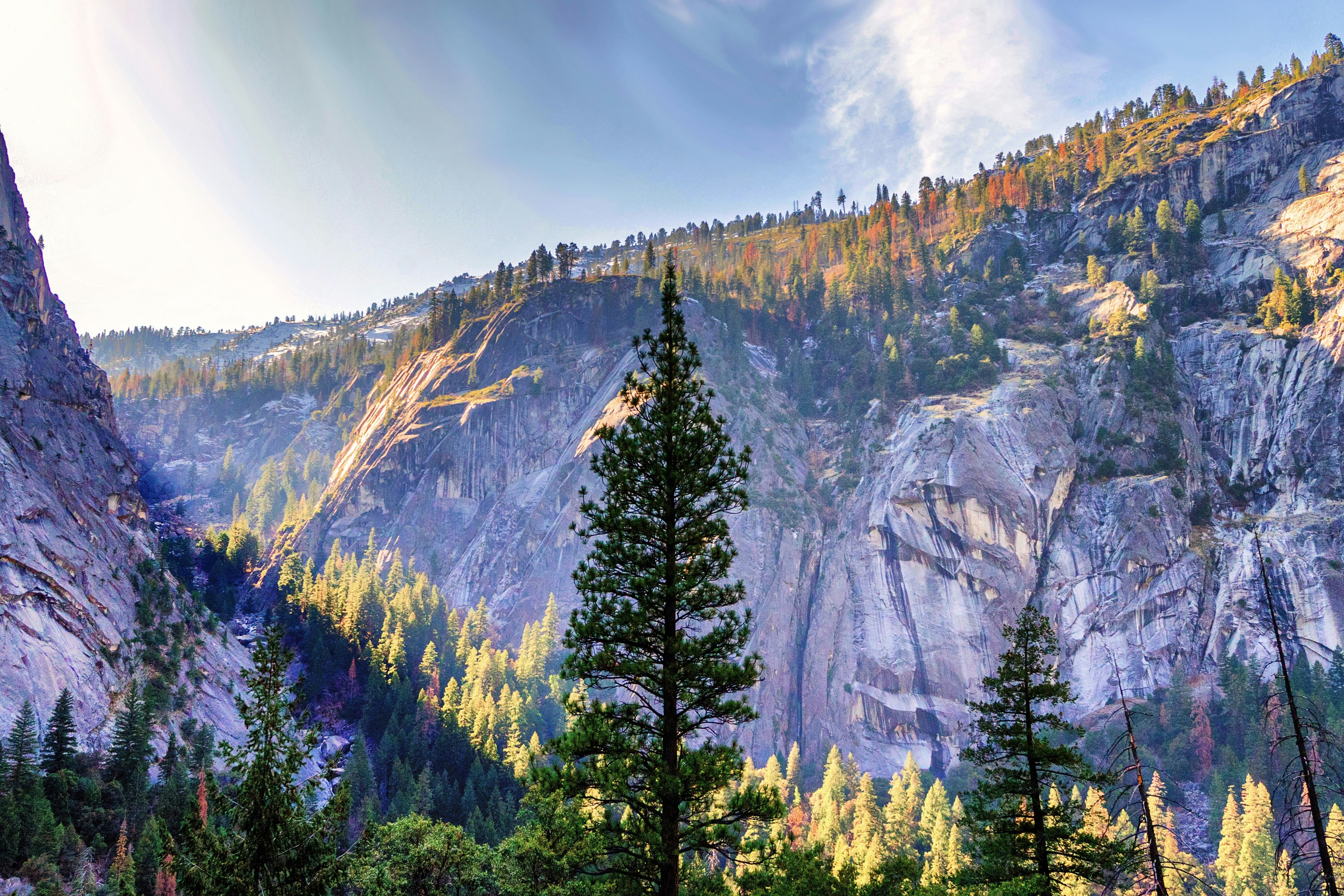 Free Unsplash photo from Pono Lopez