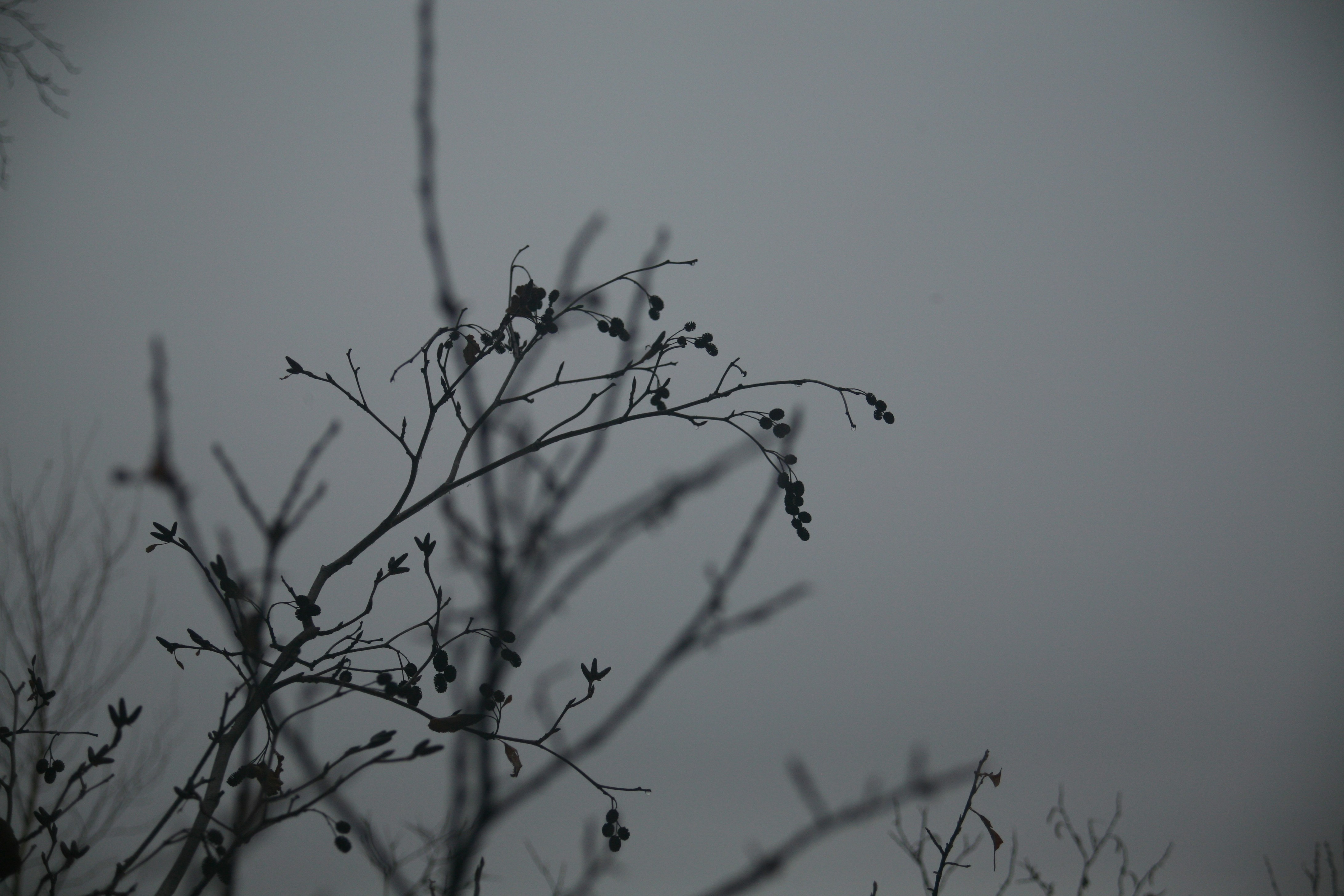 Free Unsplash photo from Shannon McInnes