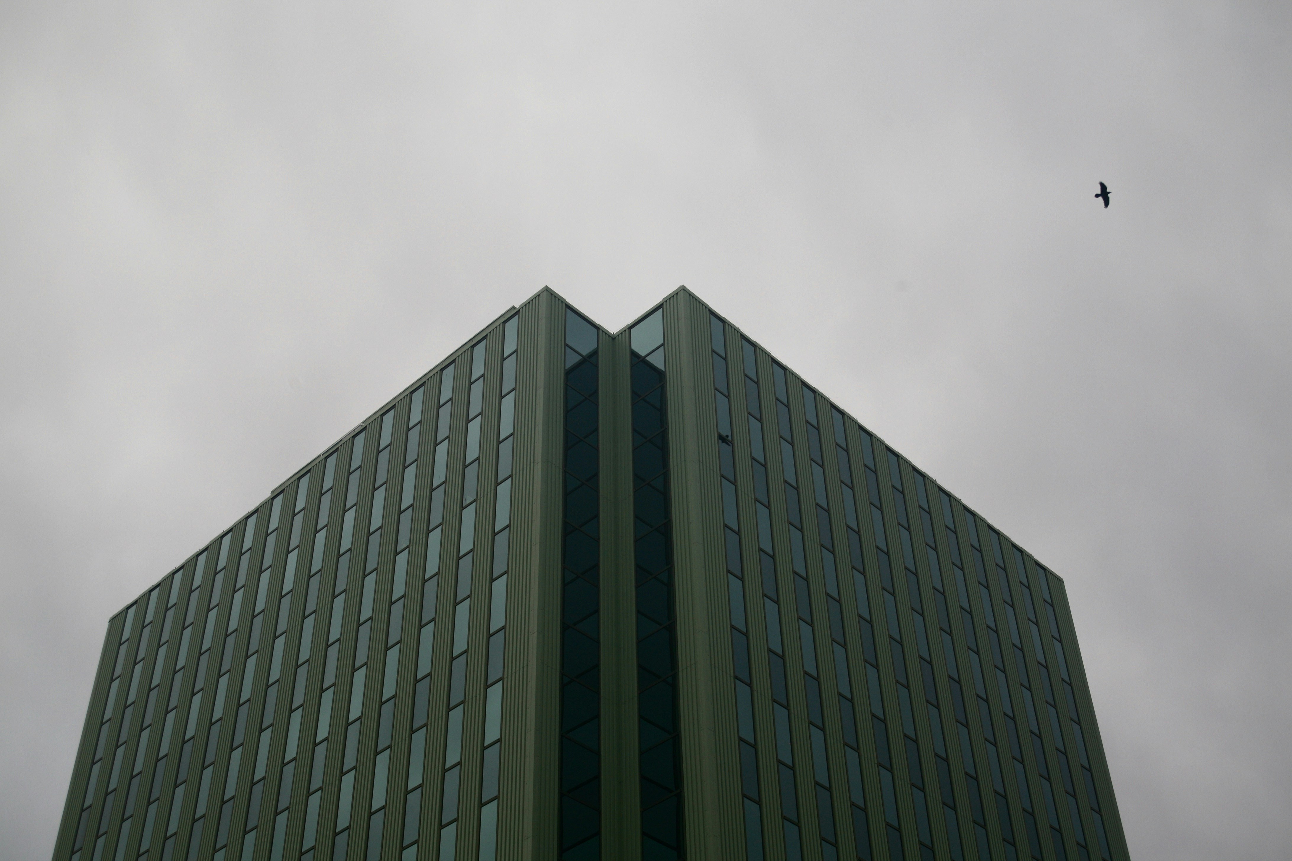 Free Unsplash photo from Shannon McInnes