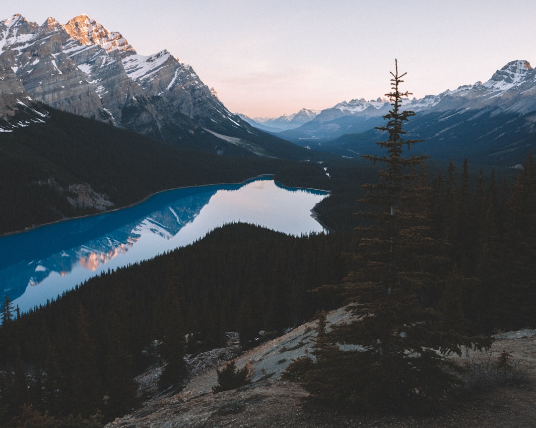 Mountain range photo spot Peyto Lake Mount Chephren