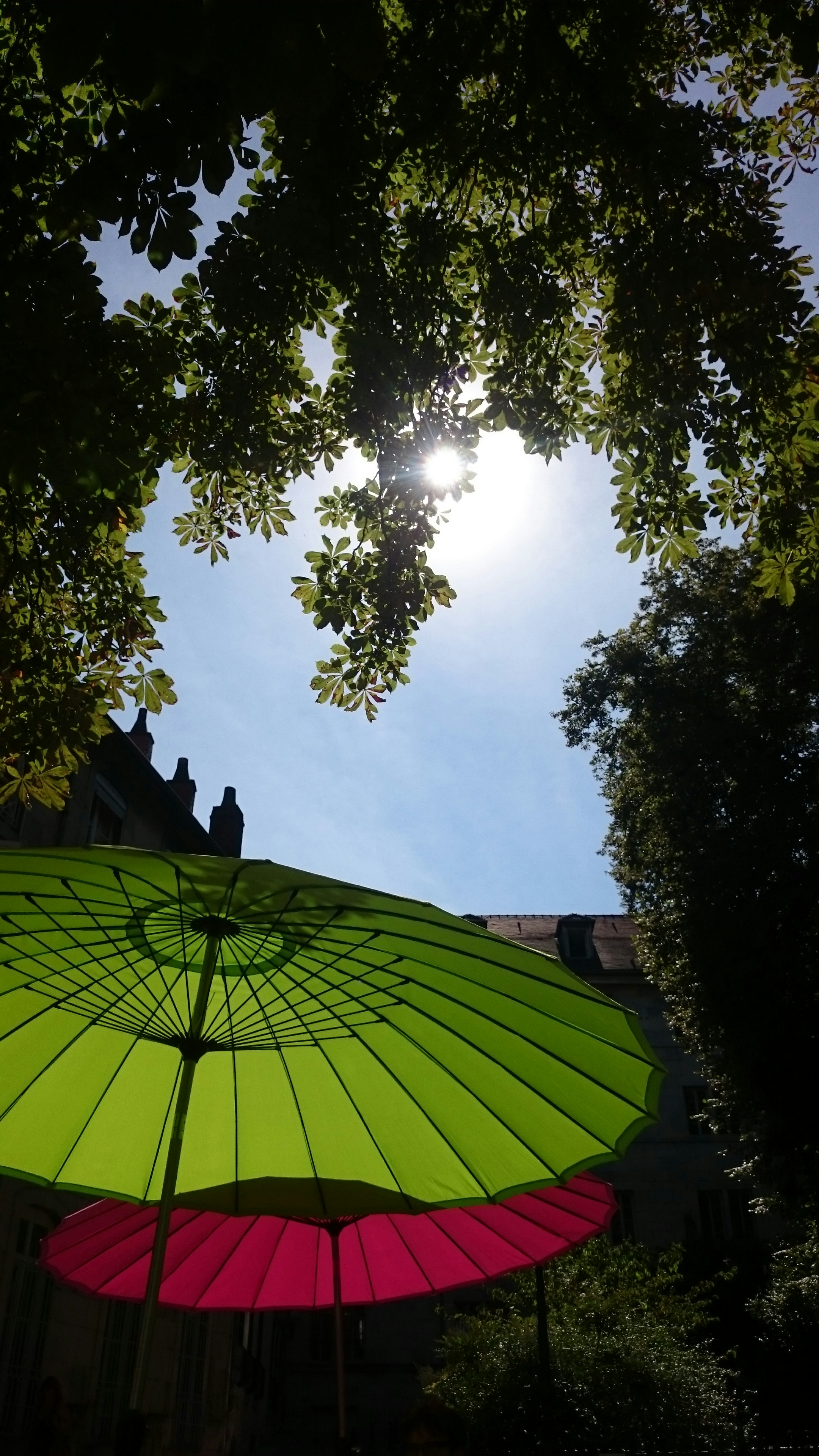 Free Unsplash photo from Matt Burke