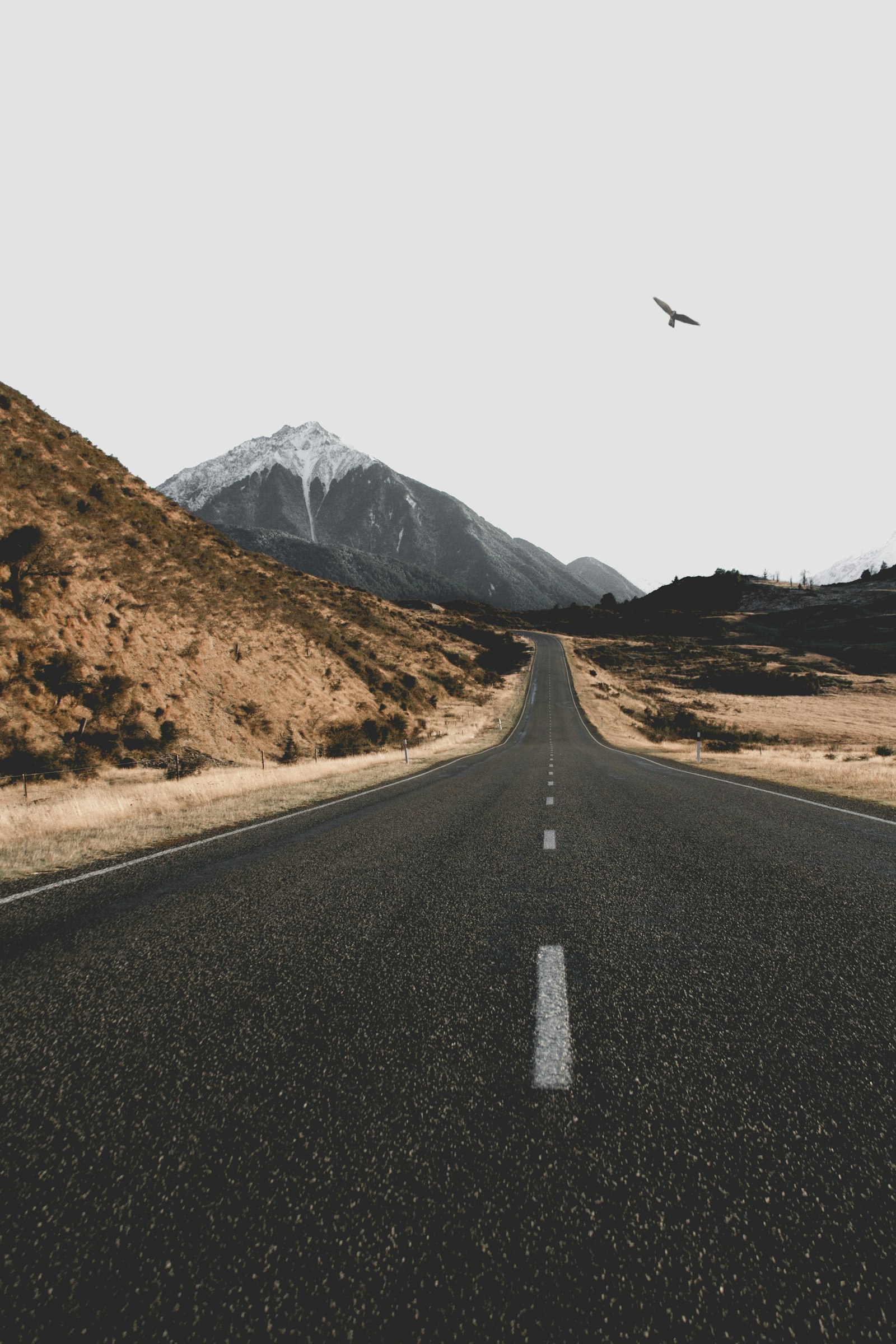 Canon EOS 7D + Canon EF 28-135mm F3.5-5.6 IS USM sample photo. Landscape of asphalt road photography