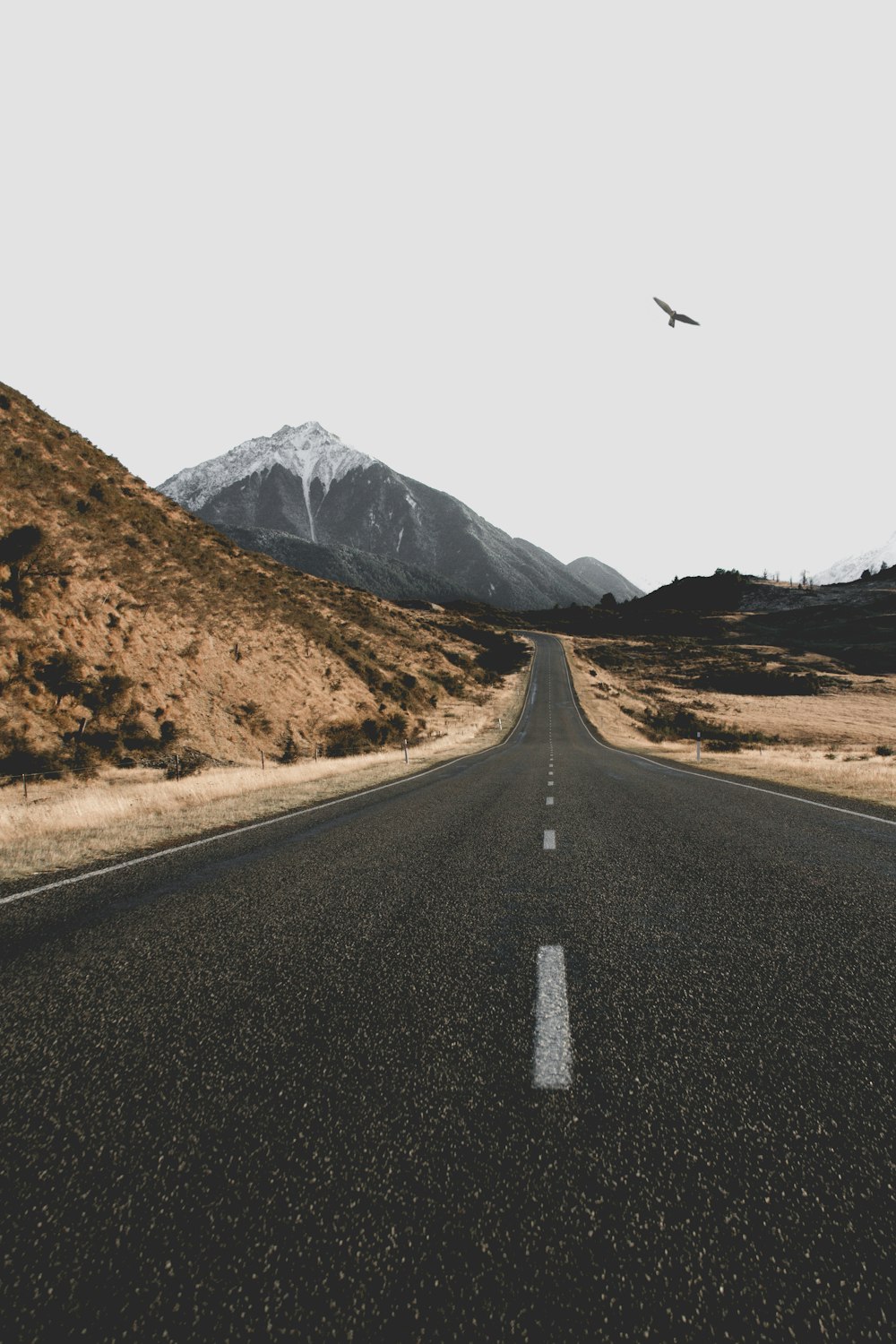 Paisaje de la carretera asfaltada