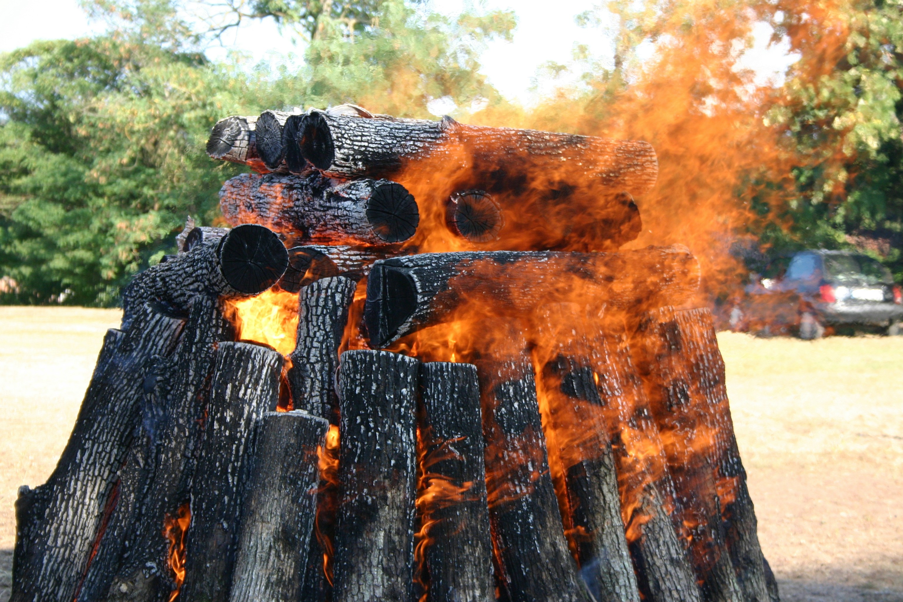 Free Unsplash photo from Ивелина Атанасова