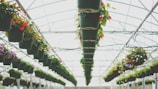 black seedling pots during daytime