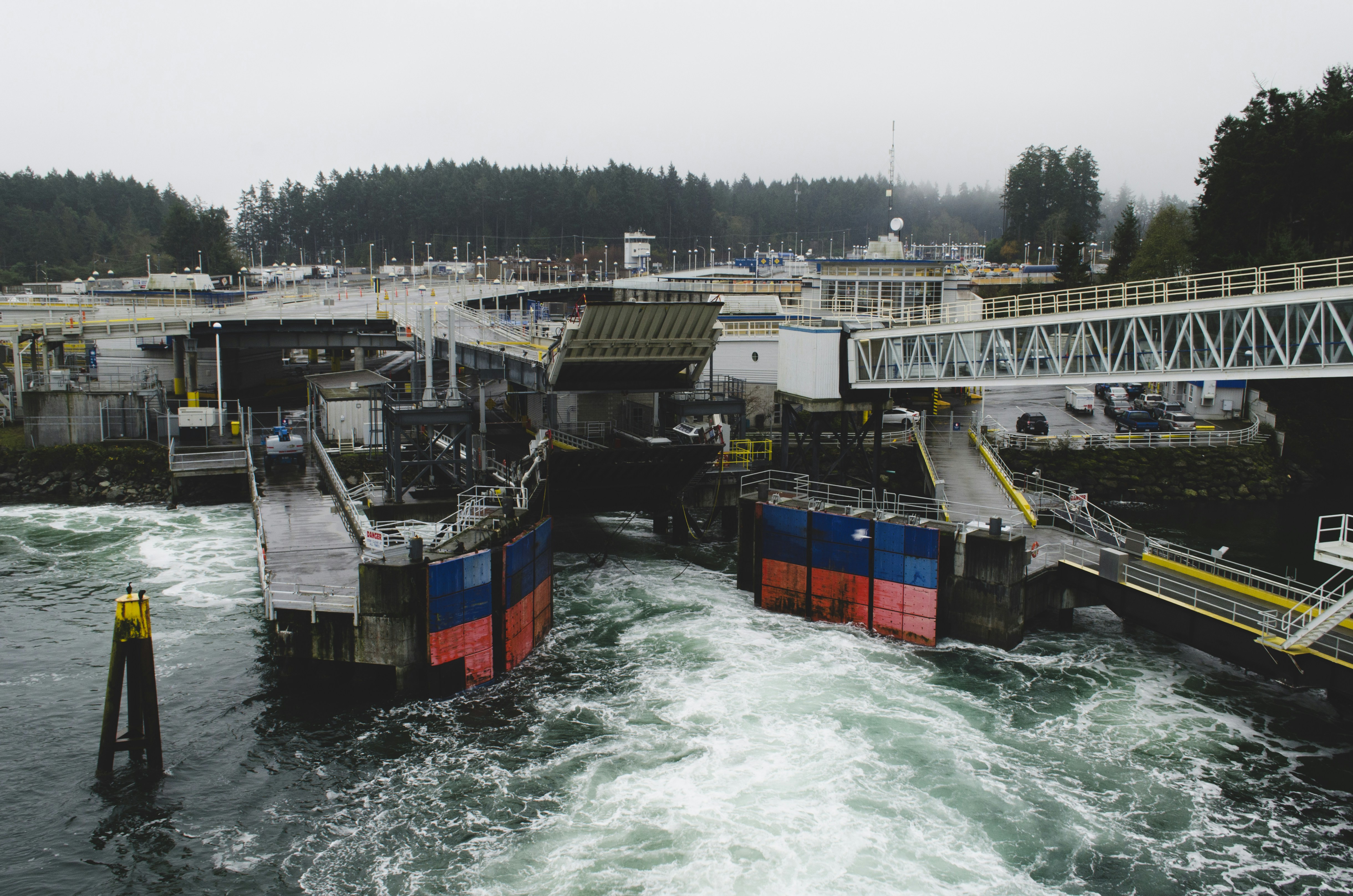 Free Unsplash photo from Teagan Gosling