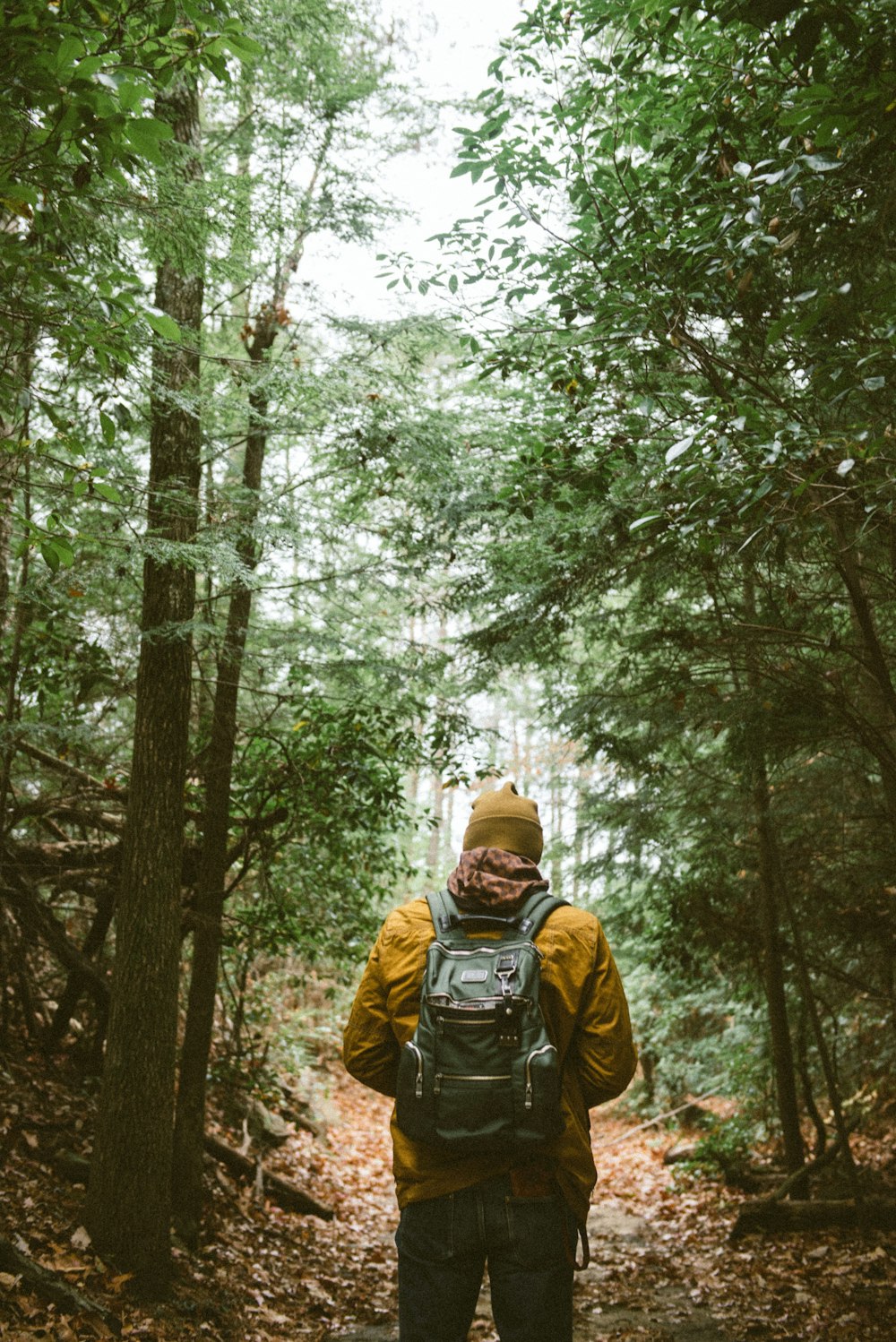 person with backpack walking through woods
