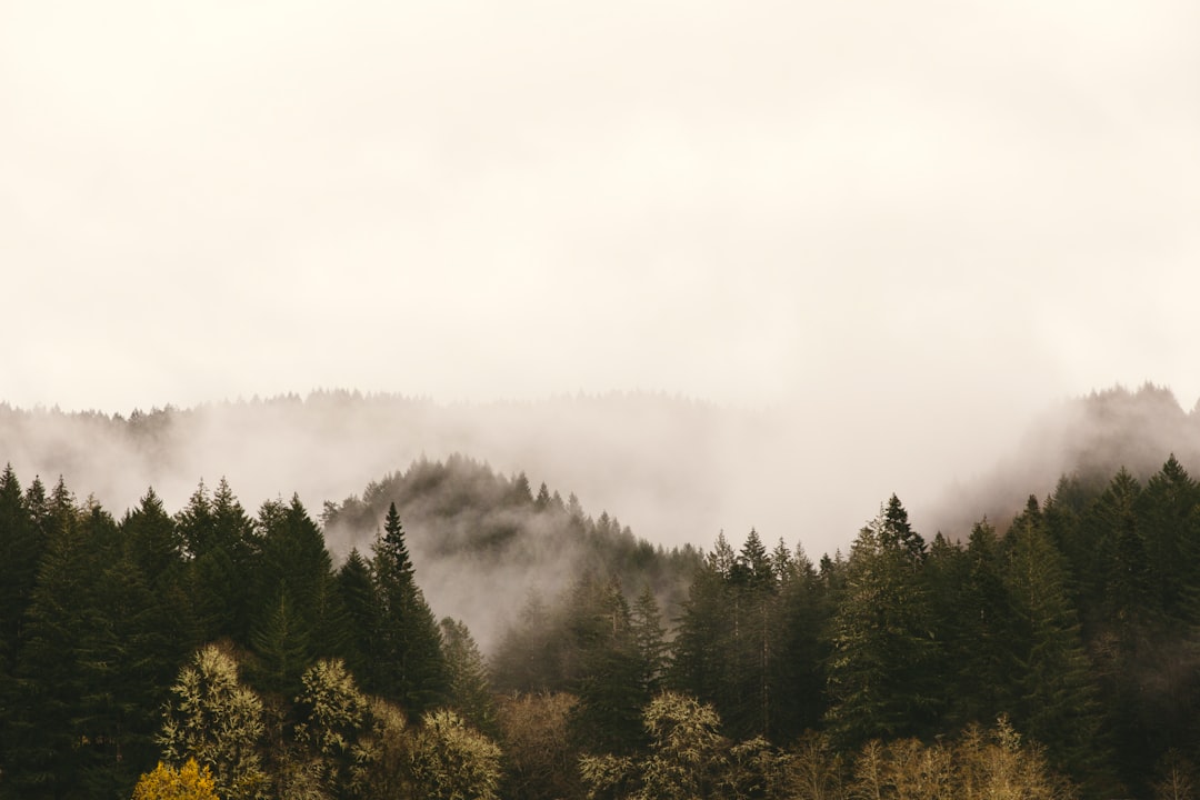 travelers stories about Hill station in Roseburg, United States