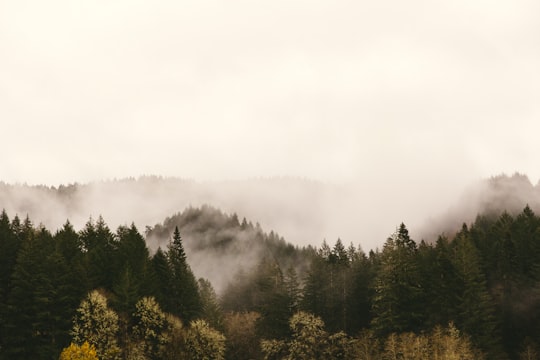 cloudy sky on top of mountain in Roseburg United States