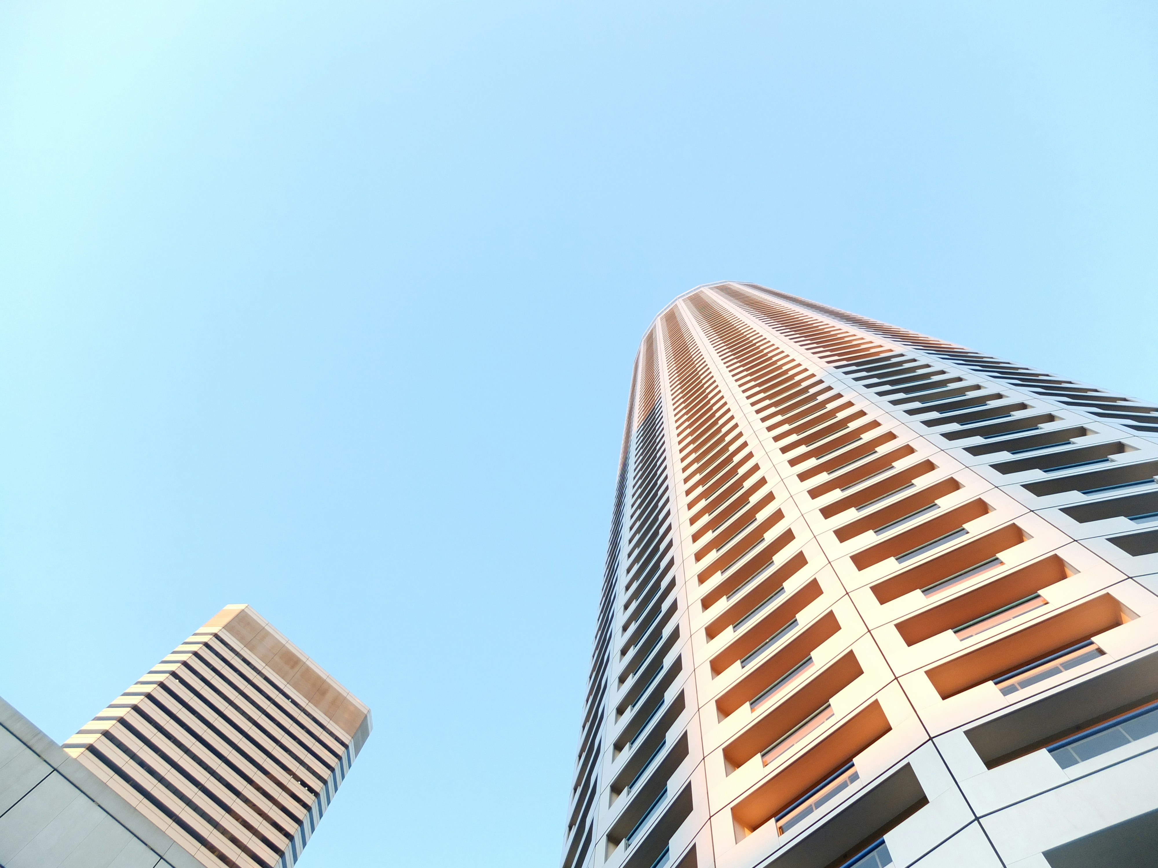 Free Unsplash photo from mohammad falky